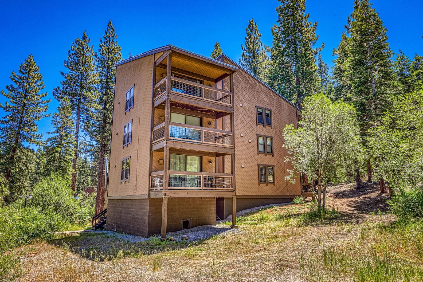 3168 Aspen Grove