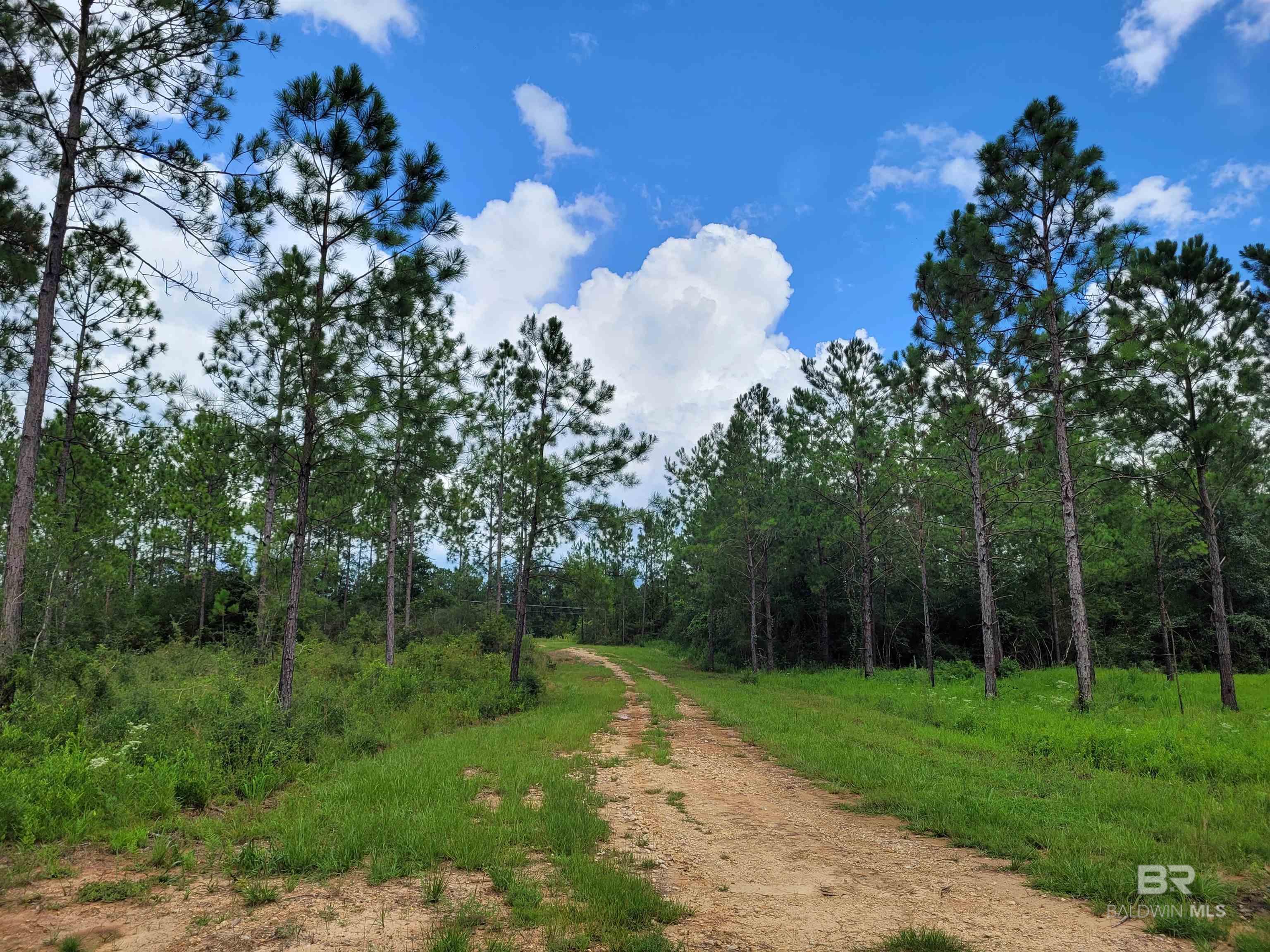 39449 S STATE HIGHWAY 59, Bay Minette, AL, 36507