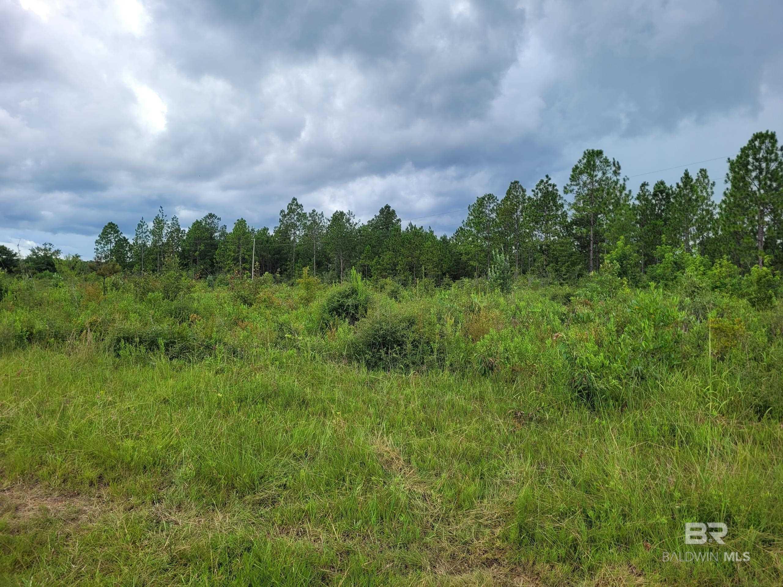 39449 S STATE HIGHWAY 59, Bay Minette, AL, 36507