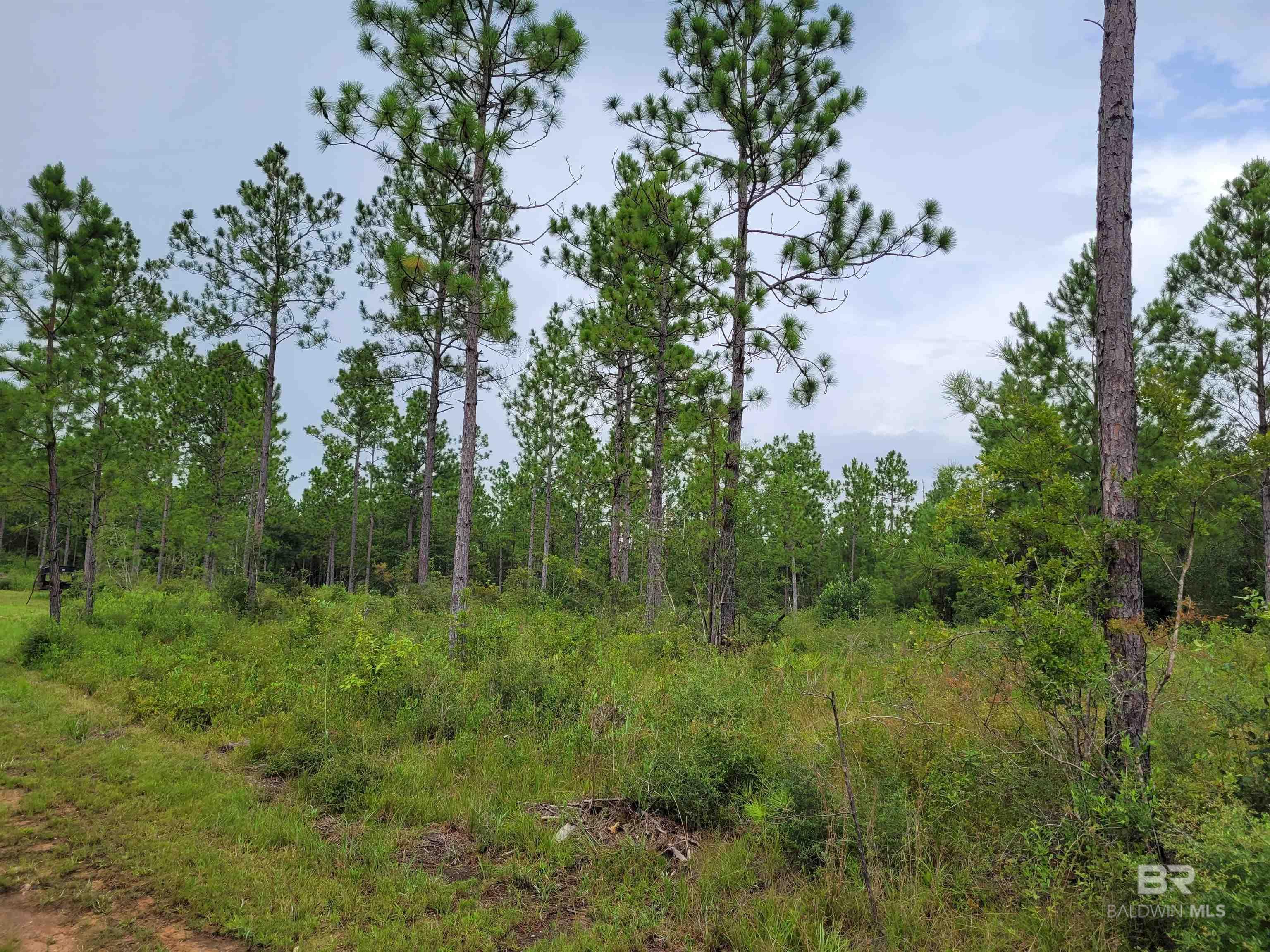 39449 S STATE HIGHWAY 59, Bay Minette, AL, 36507