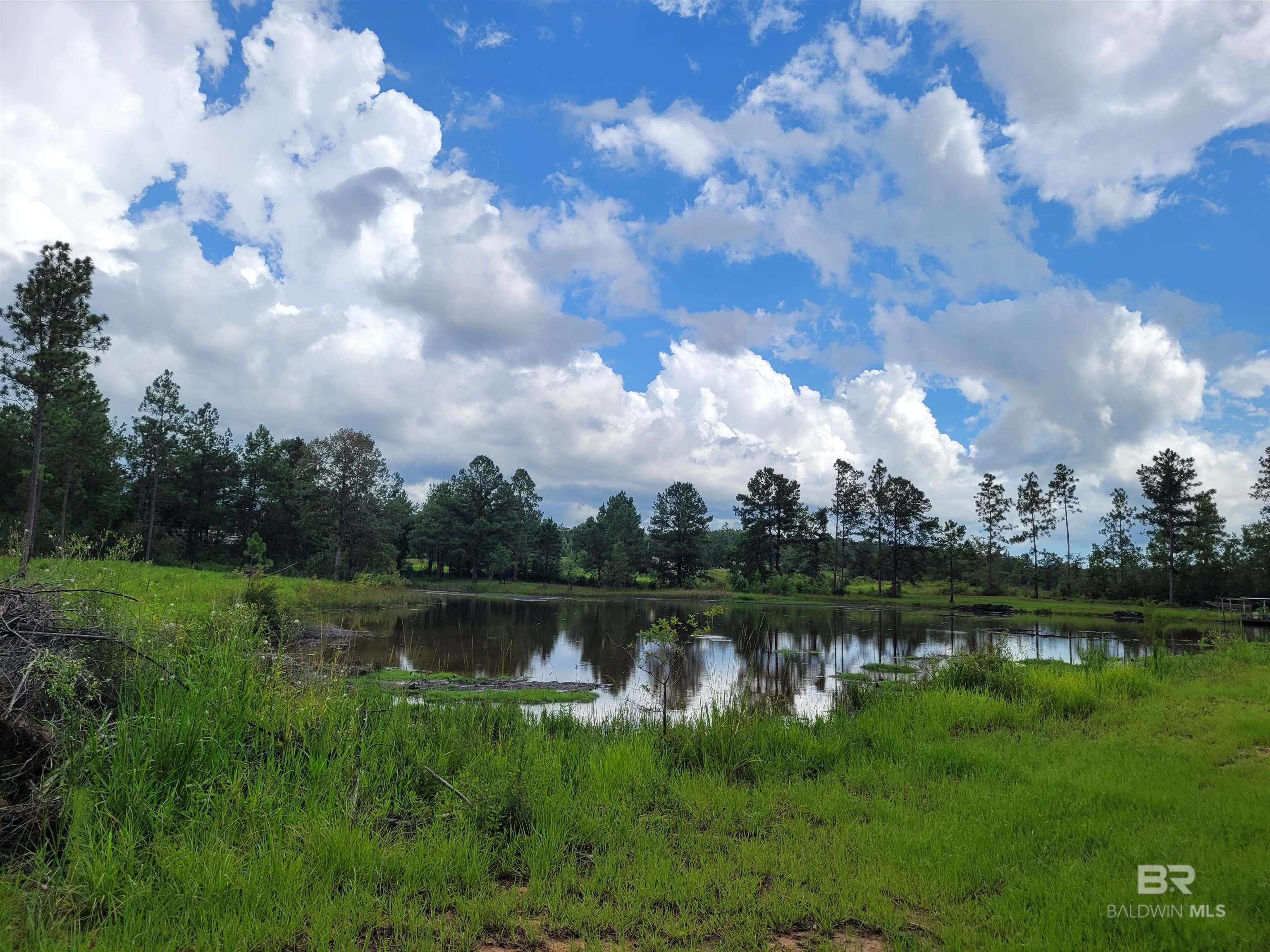 39449 S STATE HIGHWAY 59, Bay Minette, AL, 36507