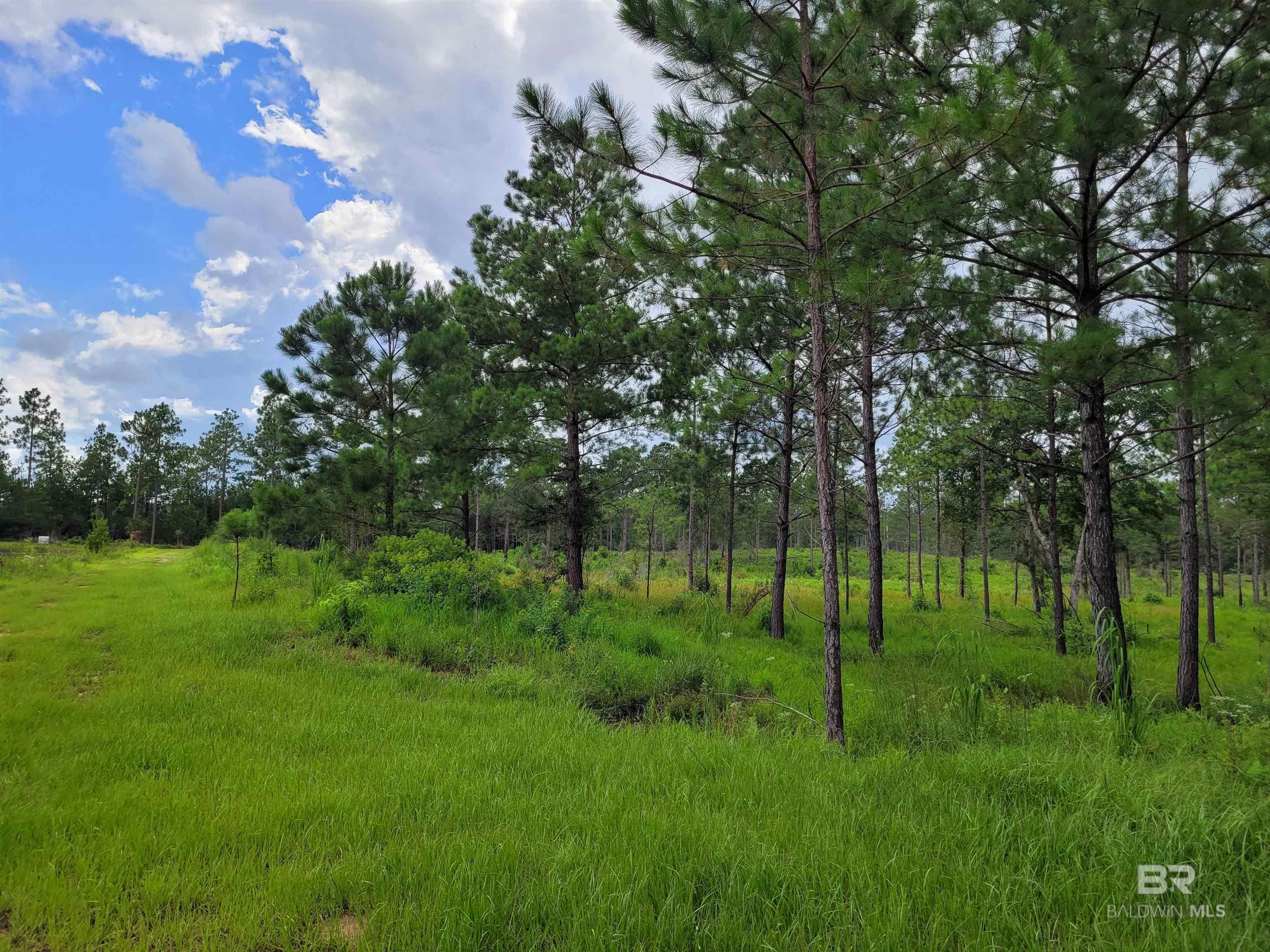 39449 S STATE HIGHWAY 59, Bay Minette, AL, 36507