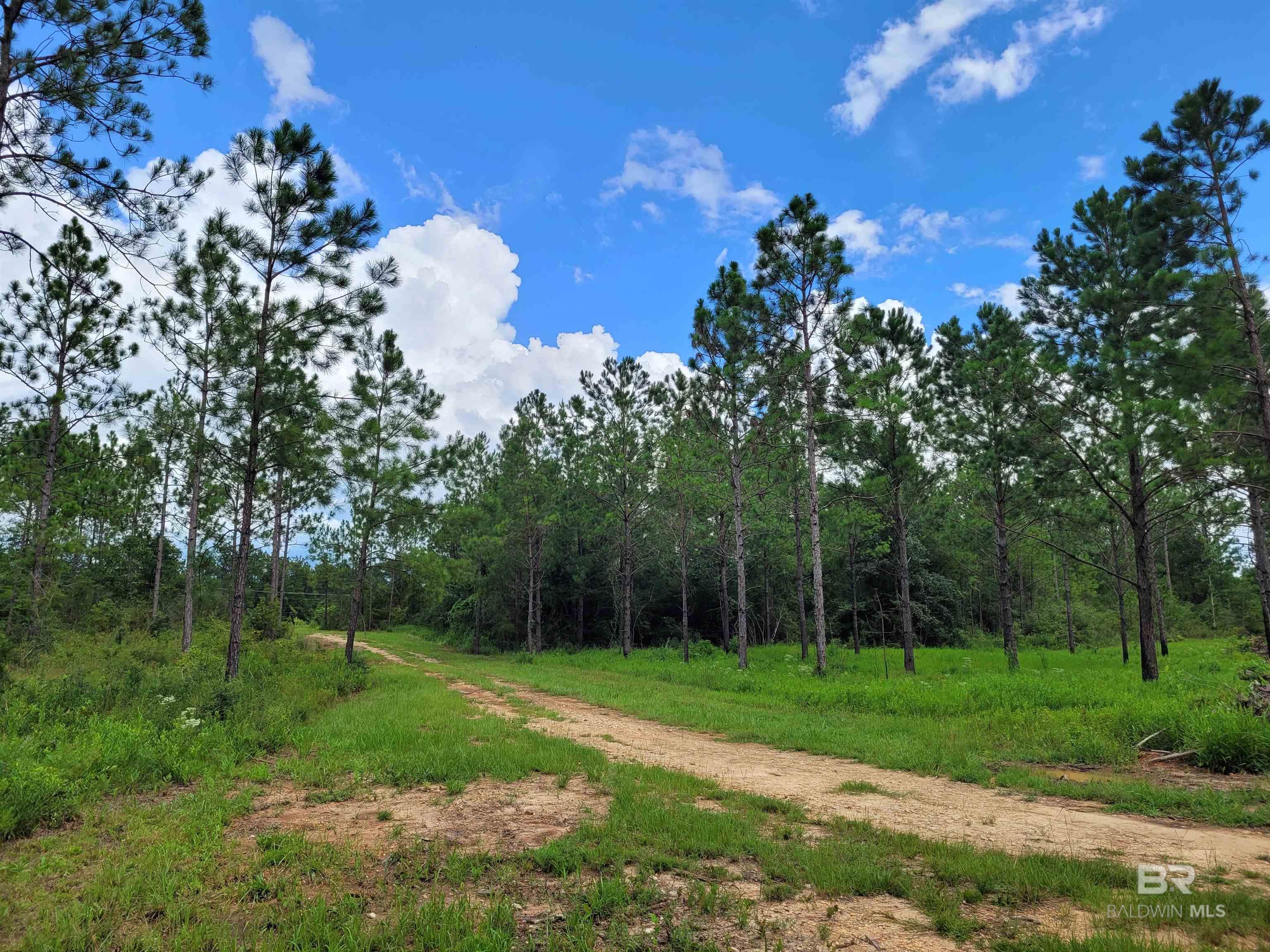 39449 S STATE HIGHWAY 59, Bay Minette, AL, 36507