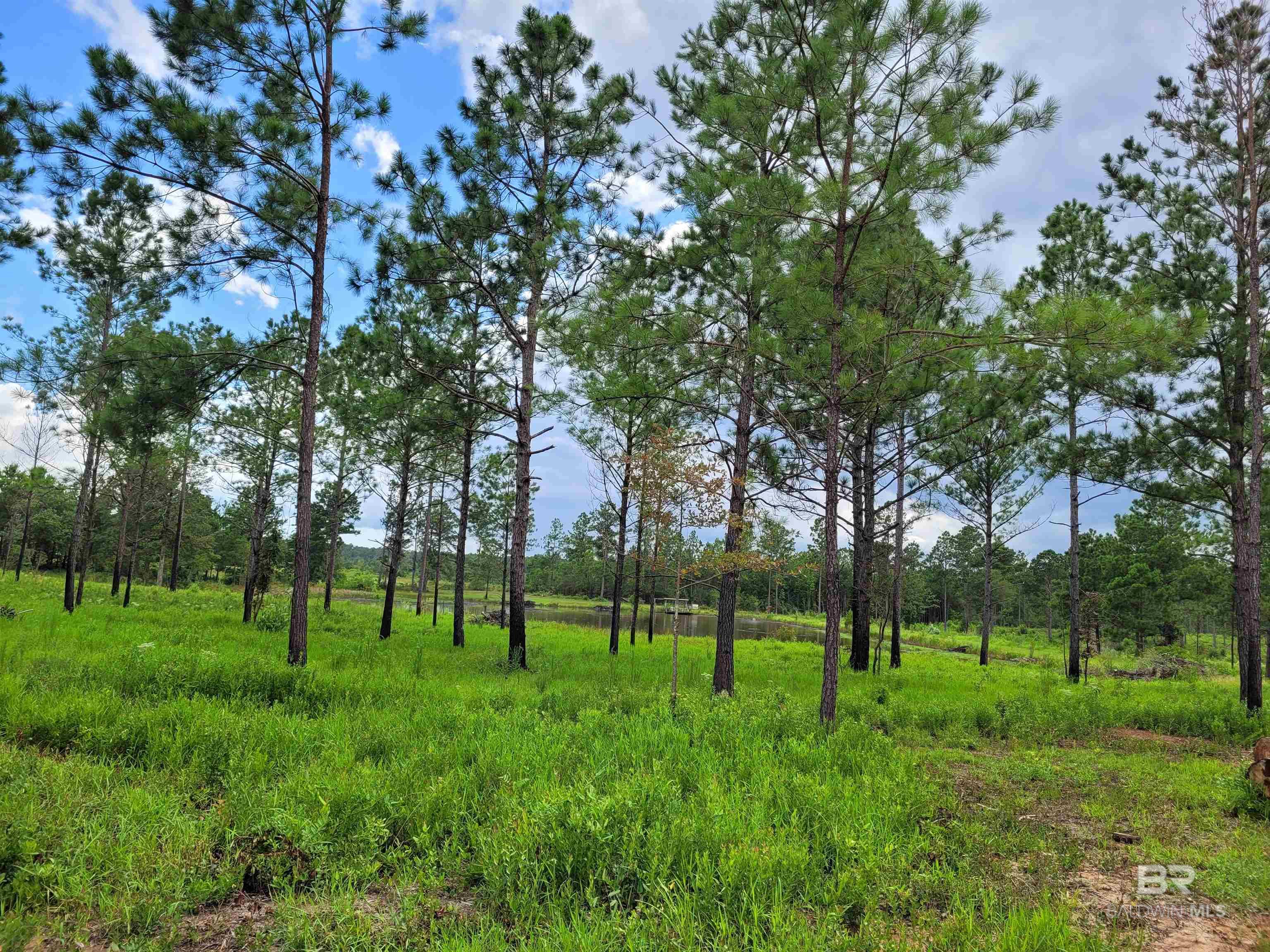 39449 S STATE HIGHWAY 59, Bay Minette, AL, 36507