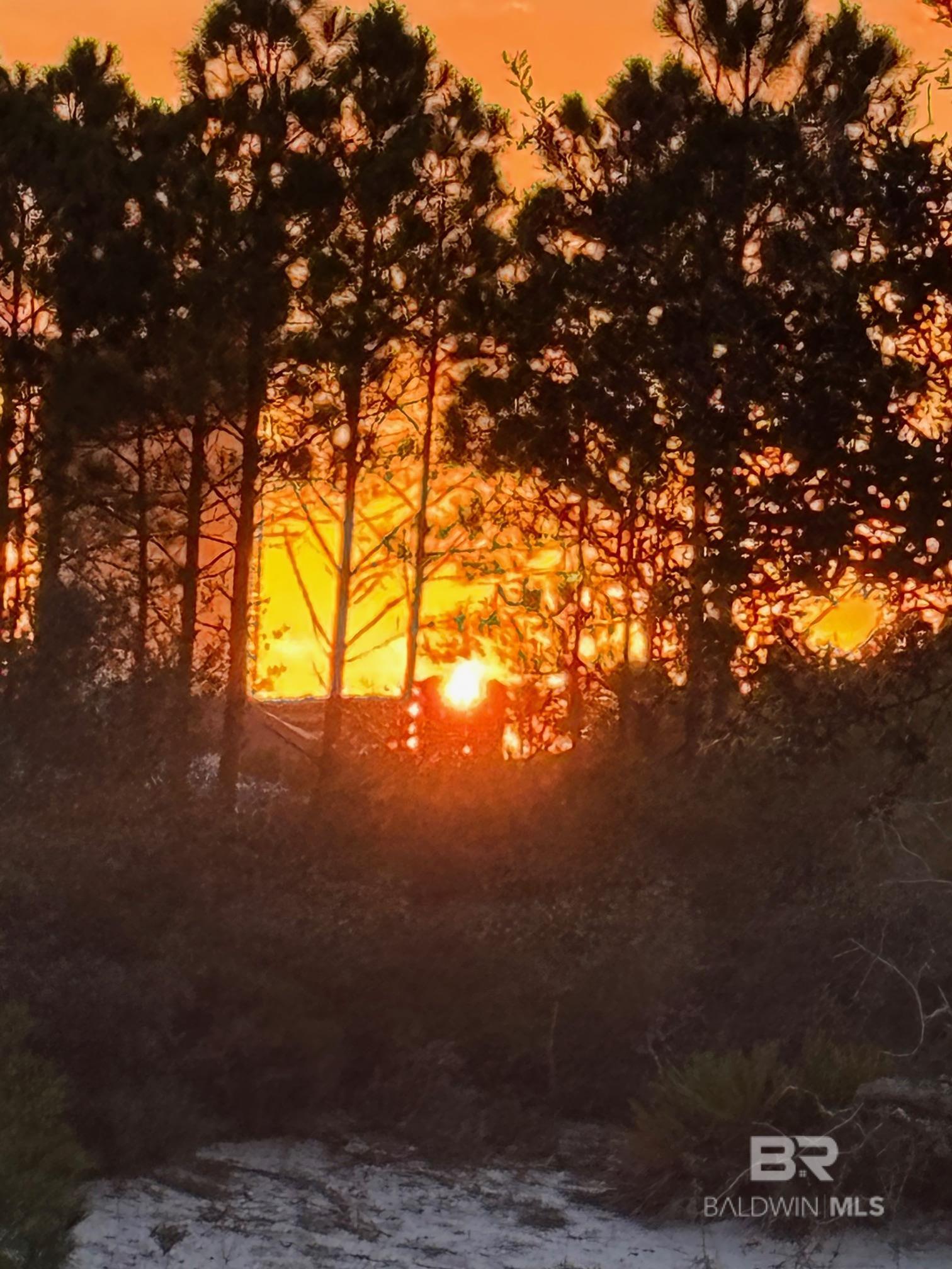  UNIT 103-E, Orange Beach, AL, 36561