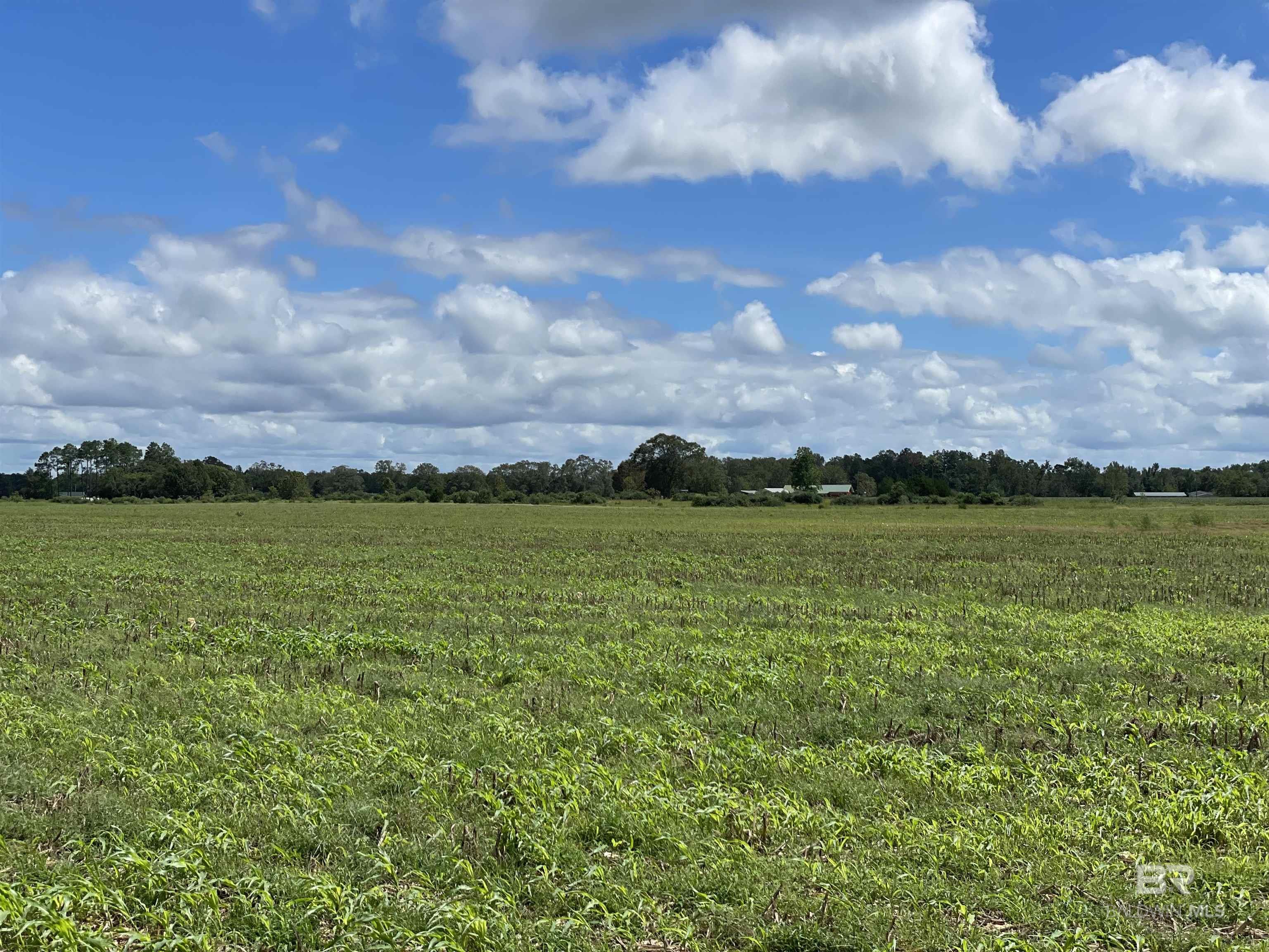 5700 Block Pine Forest Road, Walnut Hill, FL, 32568