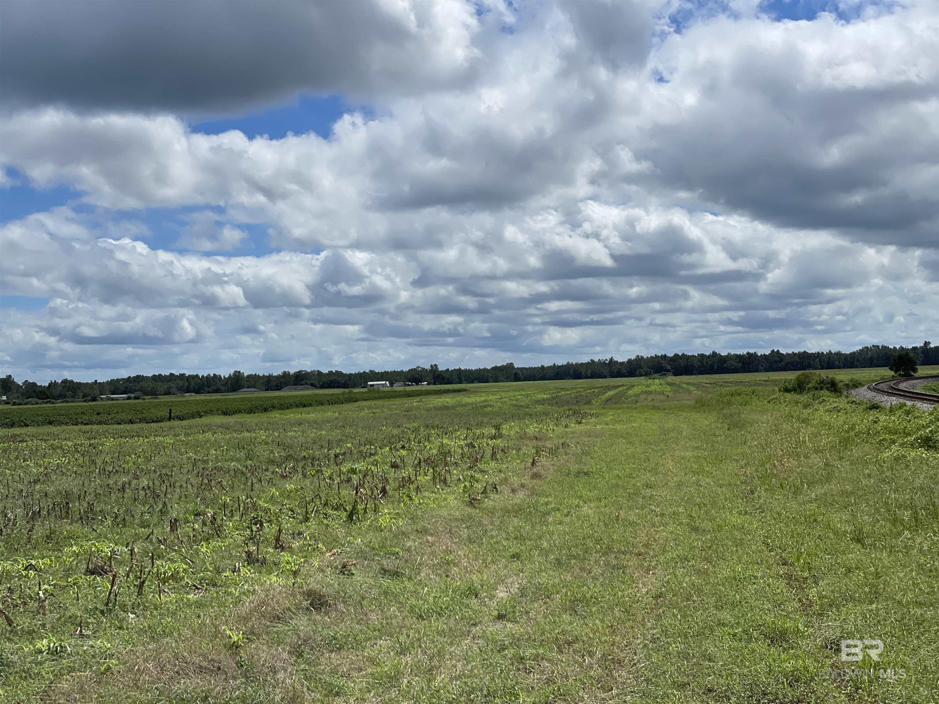 5700 Block Pine Forest Road, Walnut Hill, FL, 32568