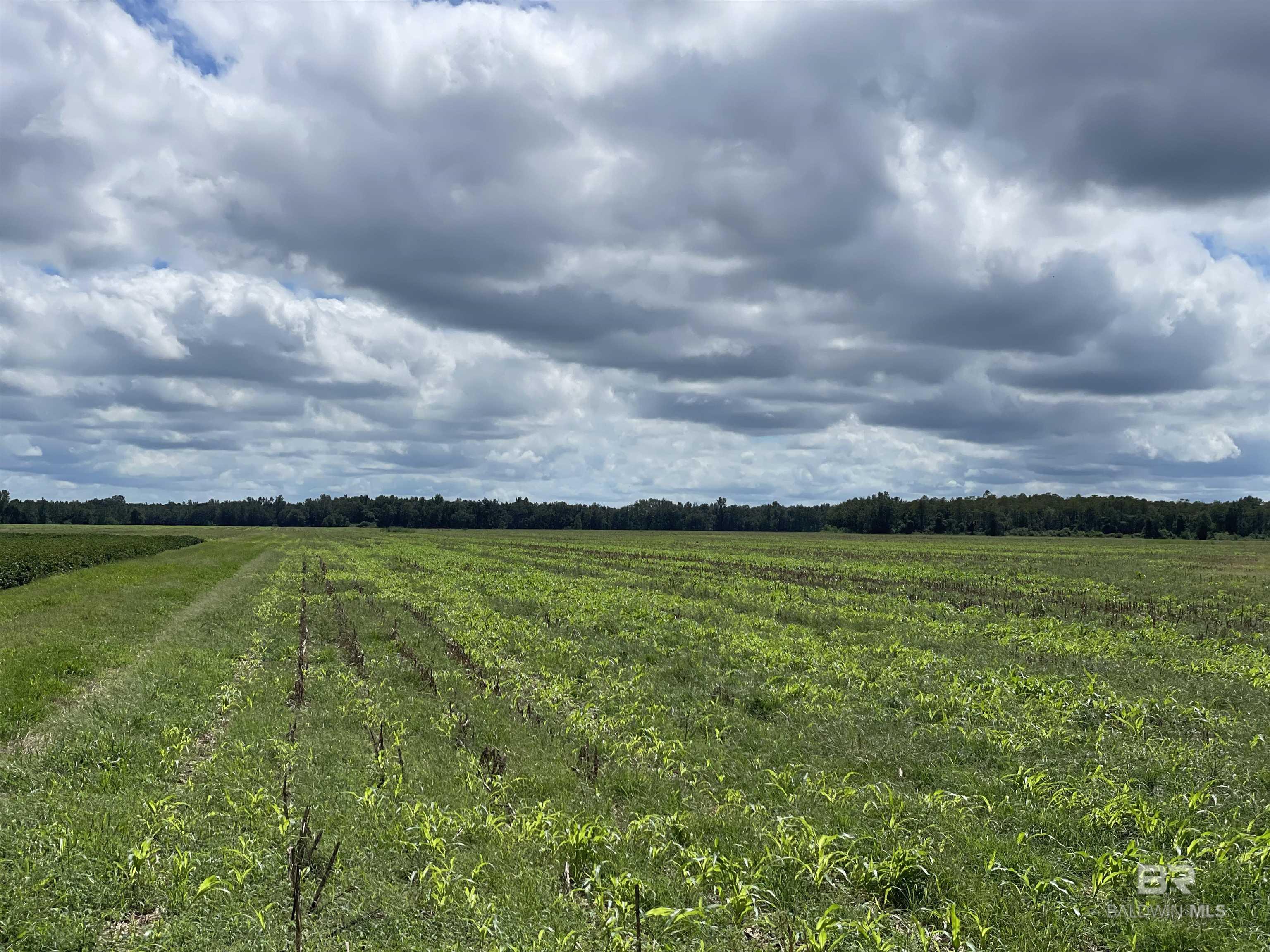 5700 Block Pine Forest Road, Walnut Hill, FL, 32568