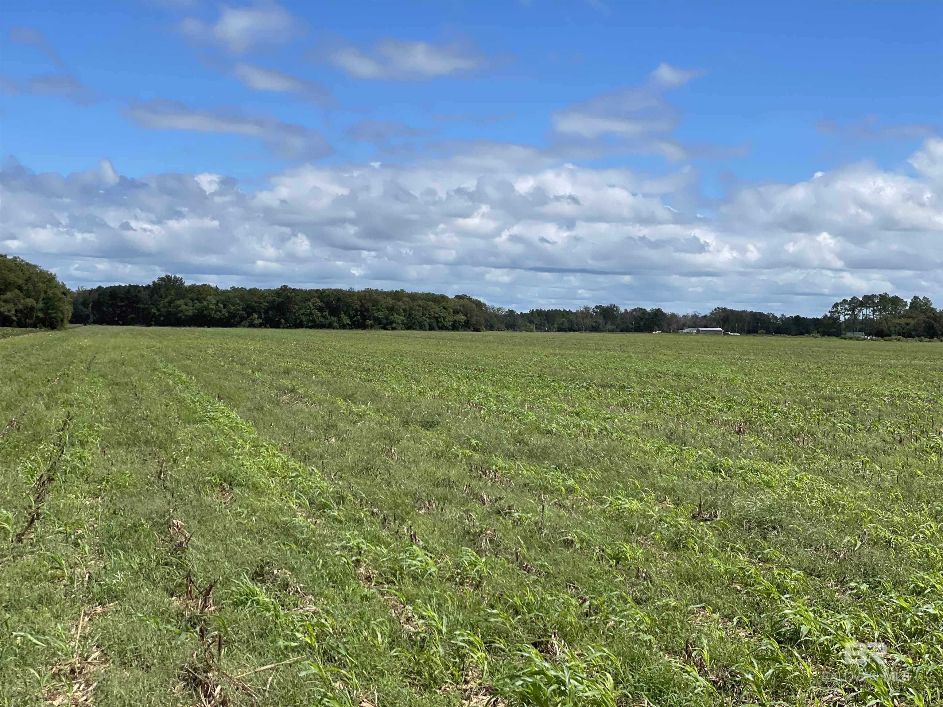 5700 Block Pine Forest Road, Walnut Hill, FL, 32568