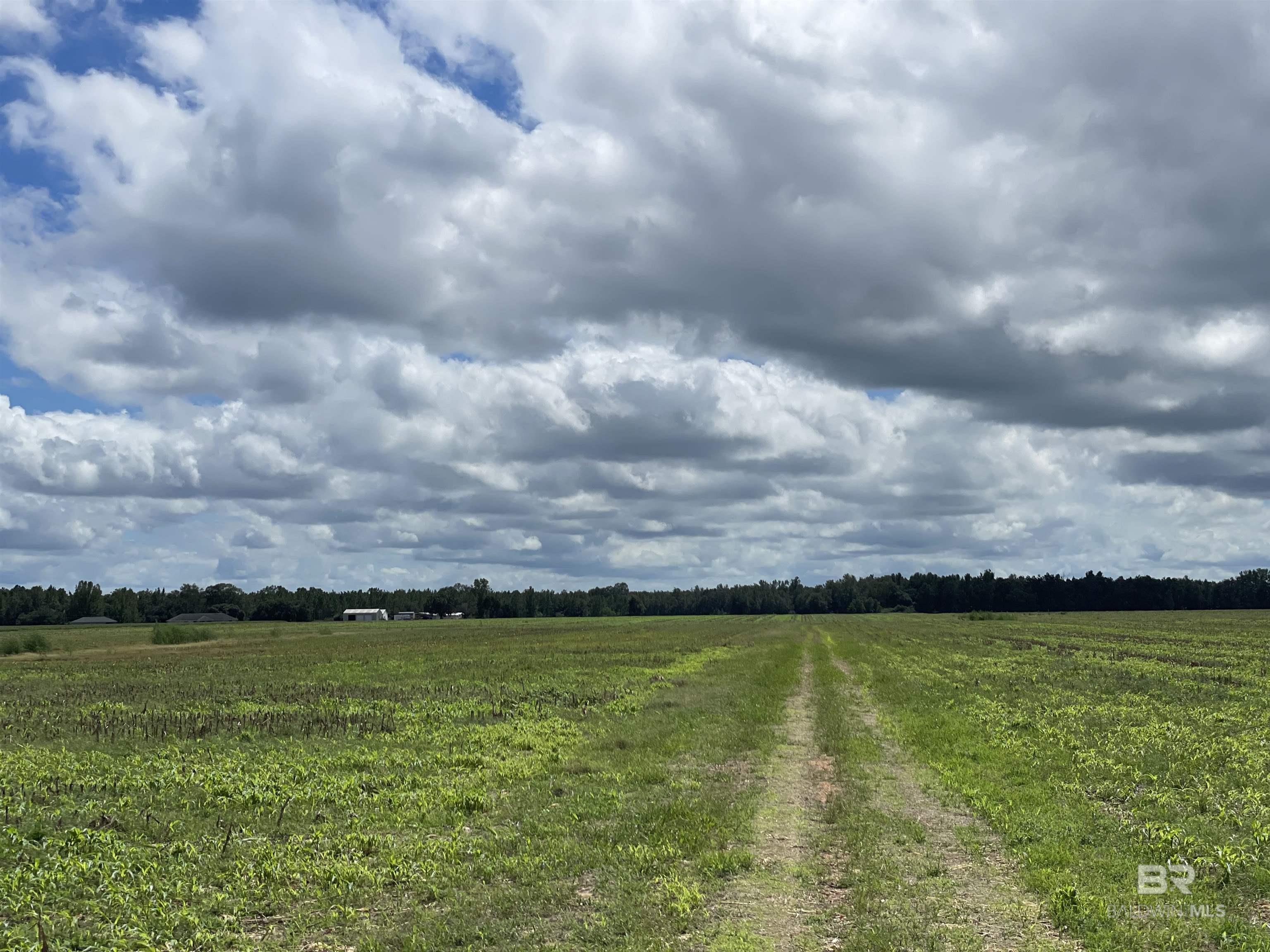 5700 Block Pine Forest Road, Walnut Hill, FL, 32568