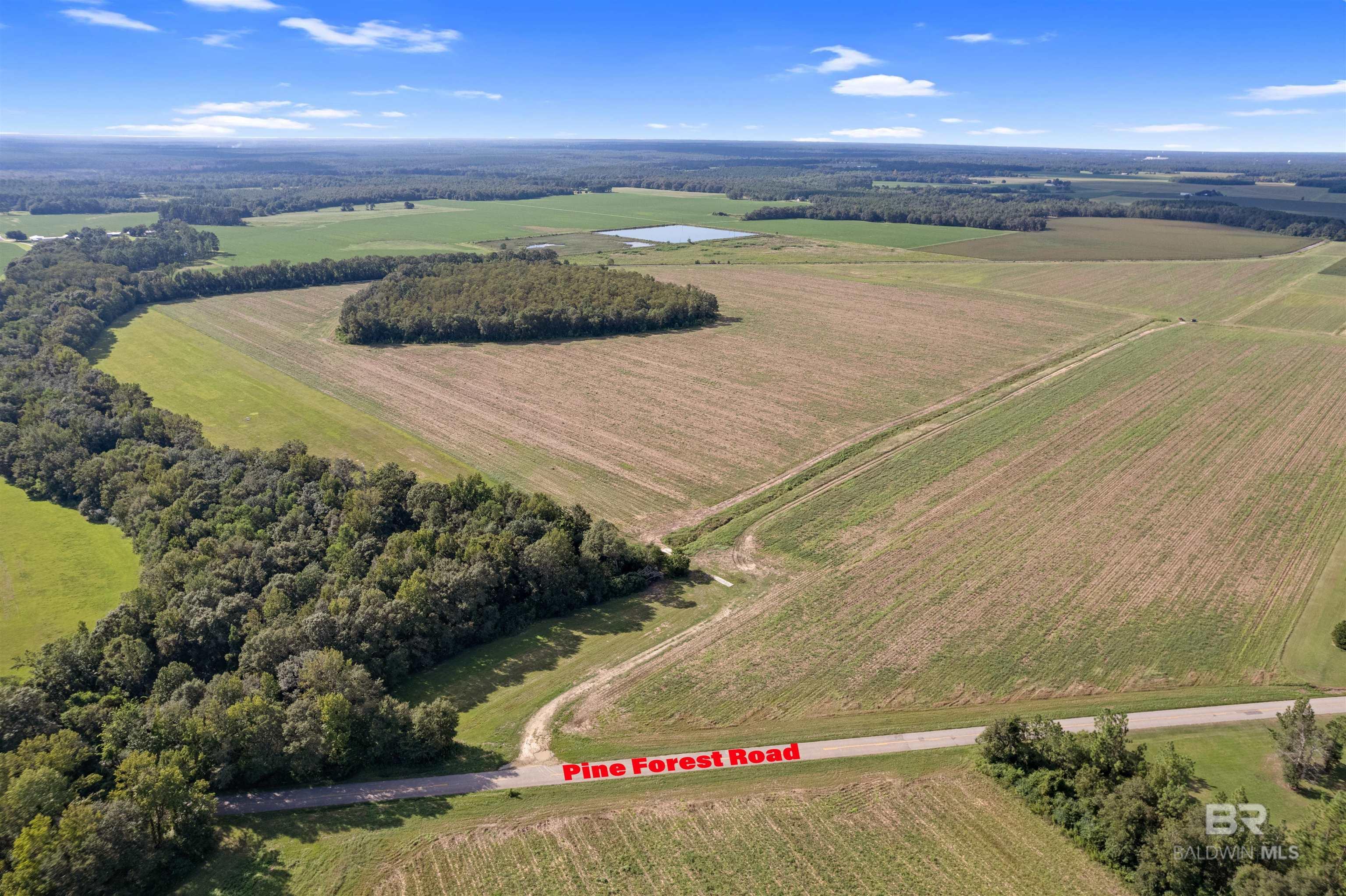 5700 Block Pine Forest Road, Walnut Hill, FL, 32568