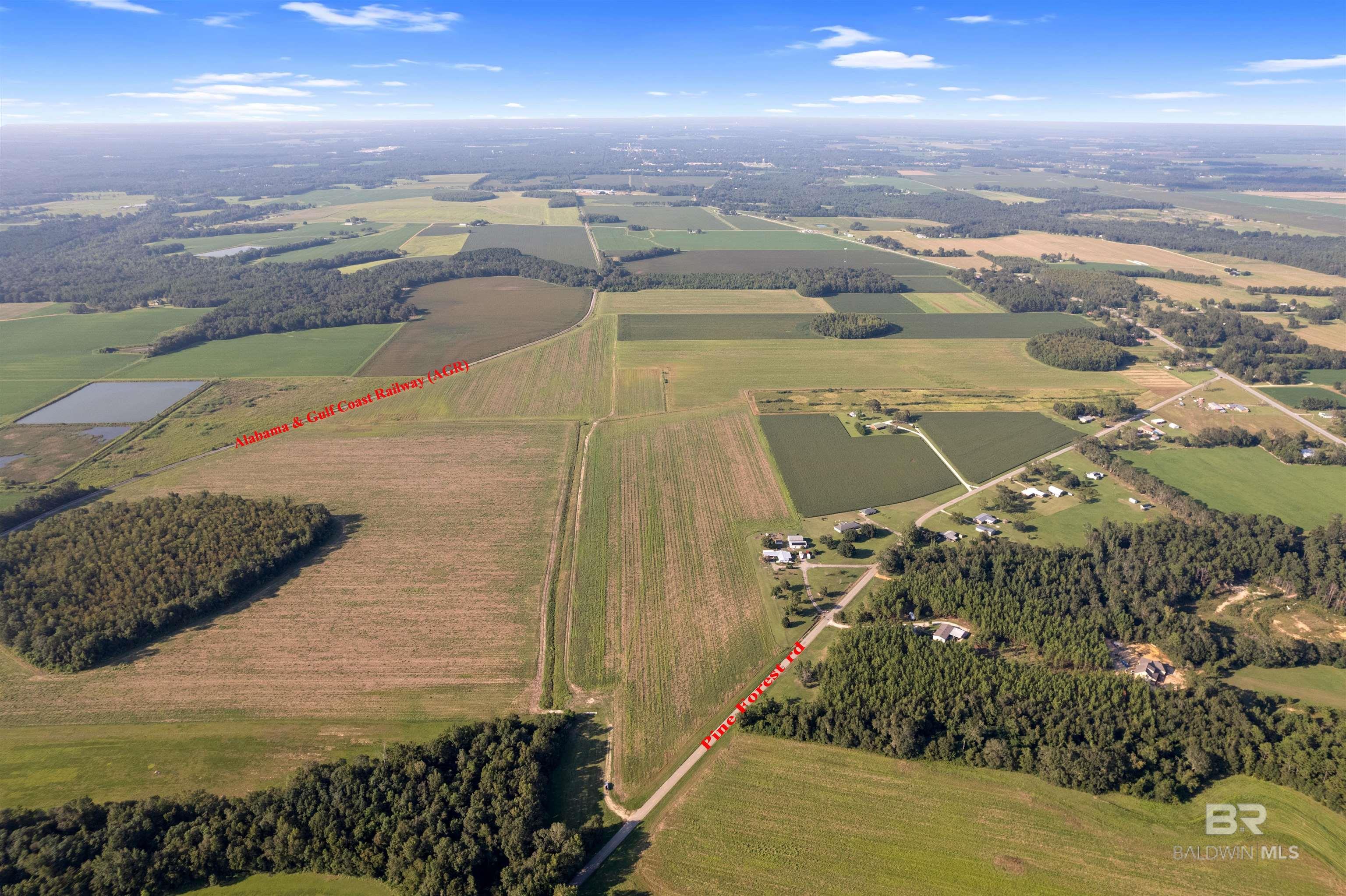 5700 Block Pine Forest Road, Walnut Hill, FL, 32568