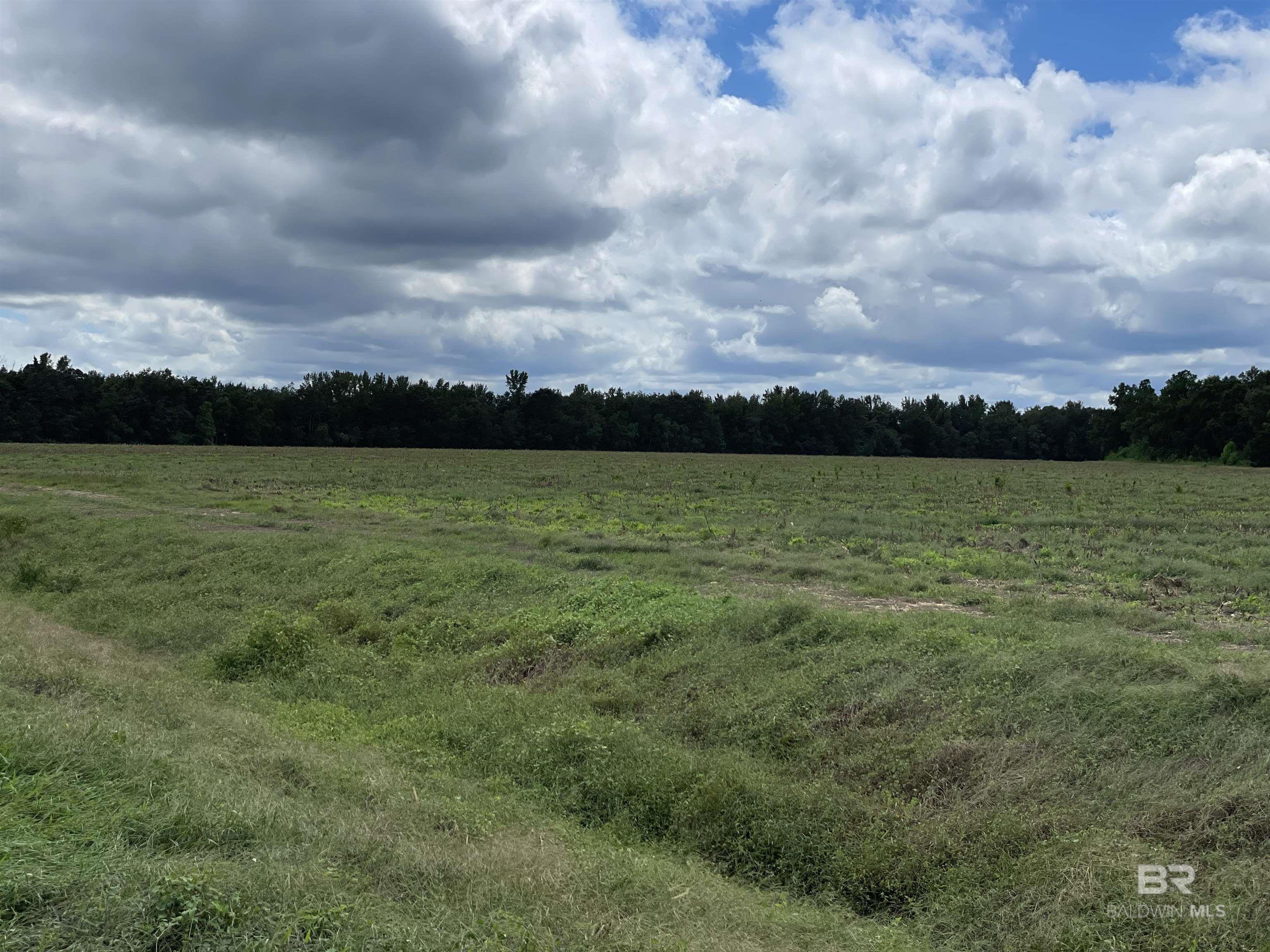 5700 Block Pine Forest Road, Walnut Hill, FL, 32568