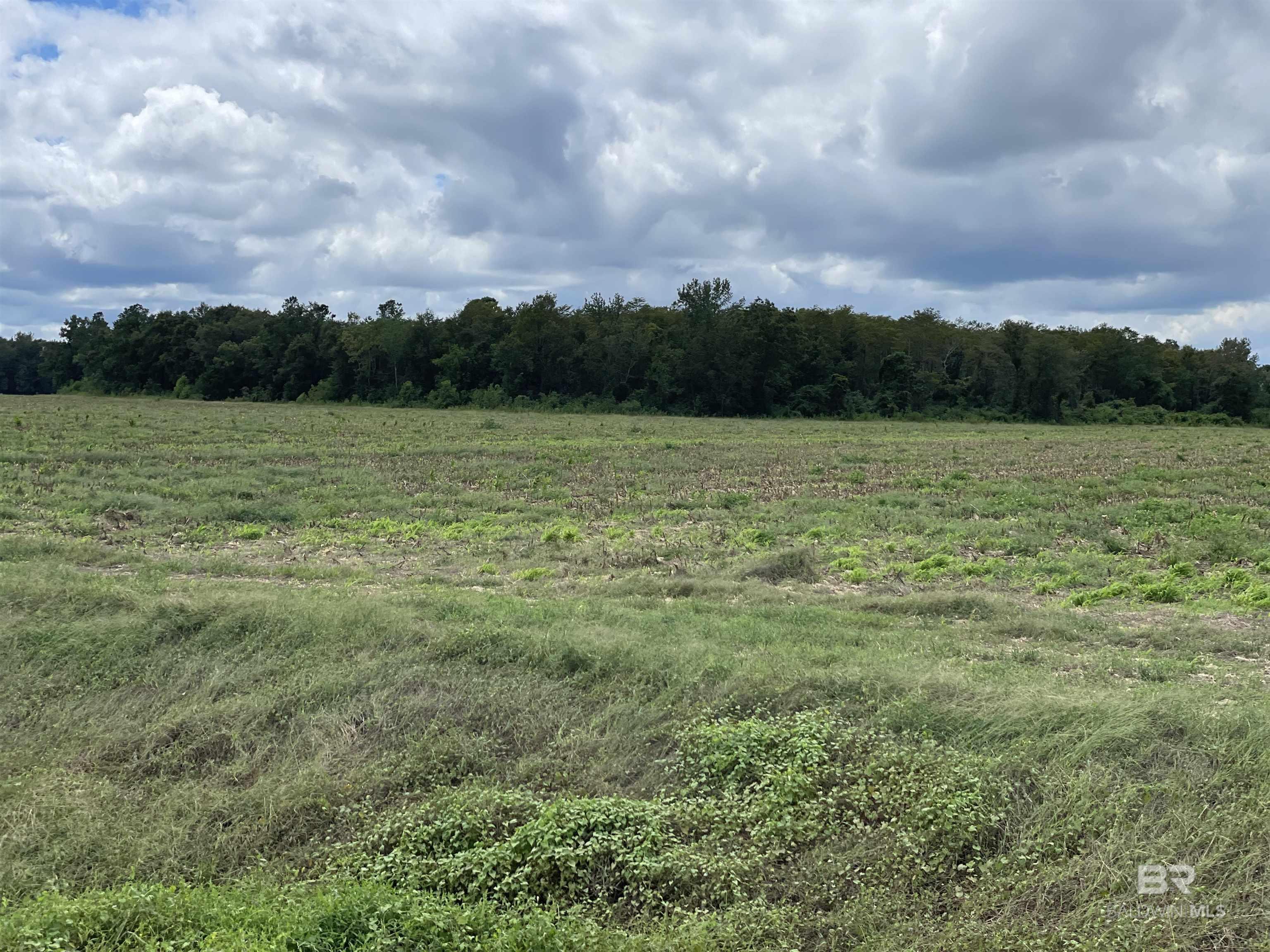 5700 Block Pine Forest Road, Walnut Hill, FL, 32568