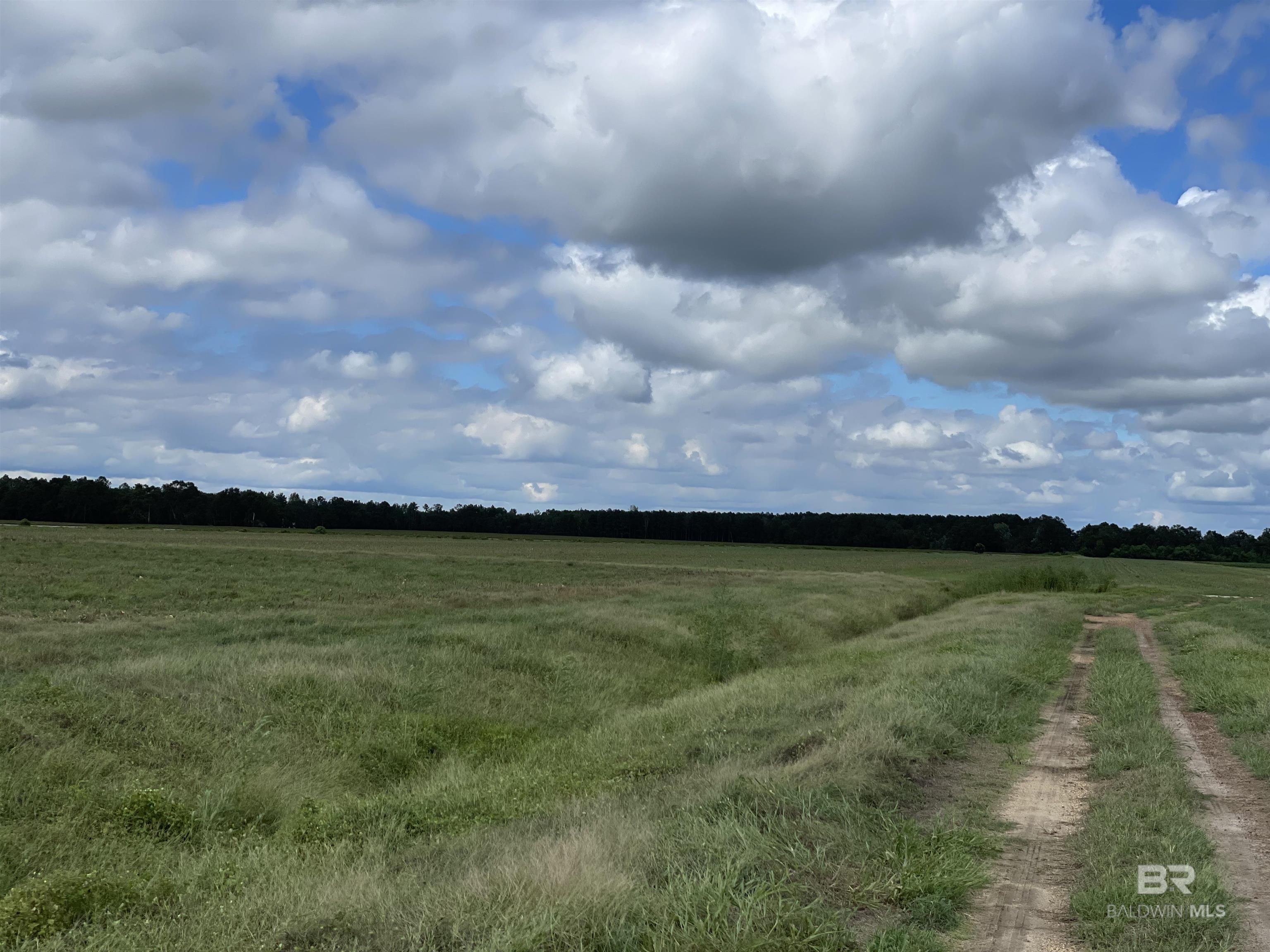 5700 Block Pine Forest Road, Walnut Hill, FL, 32568