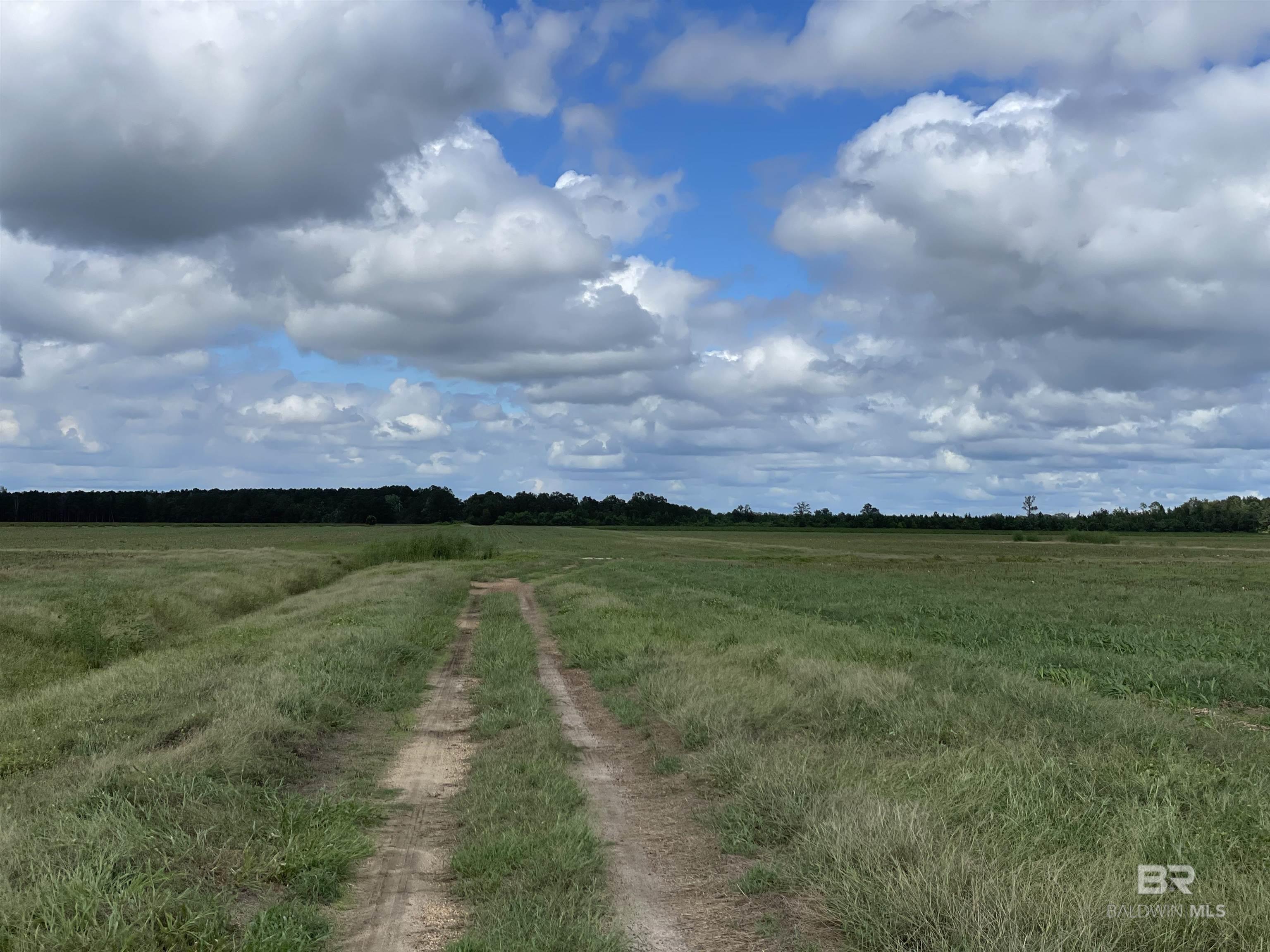 5700 Block Pine Forest Road, Walnut Hill, FL, 32568