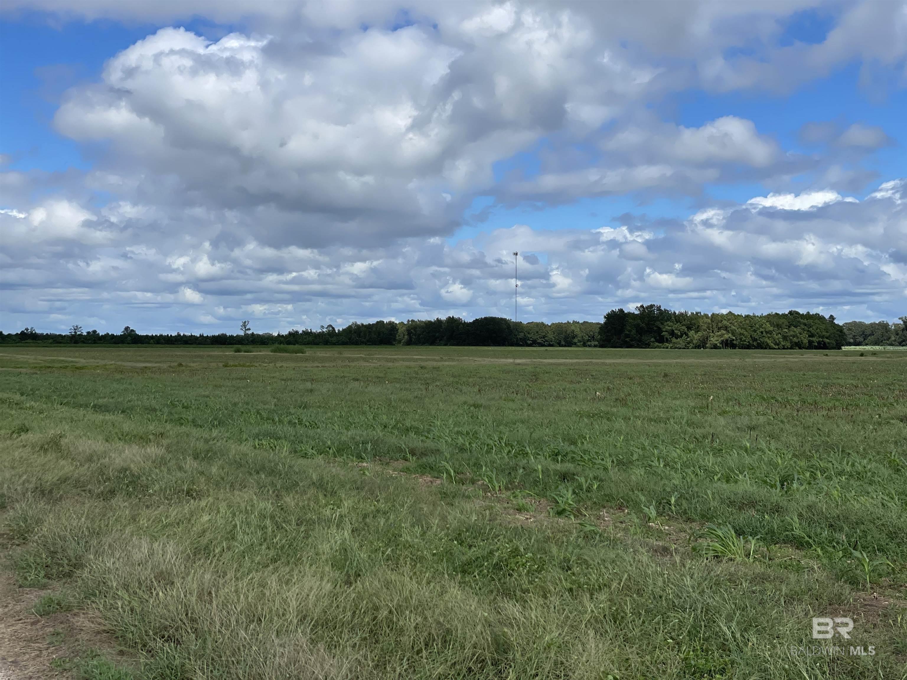 5700 Block Pine Forest Road, Walnut Hill, FL, 32568