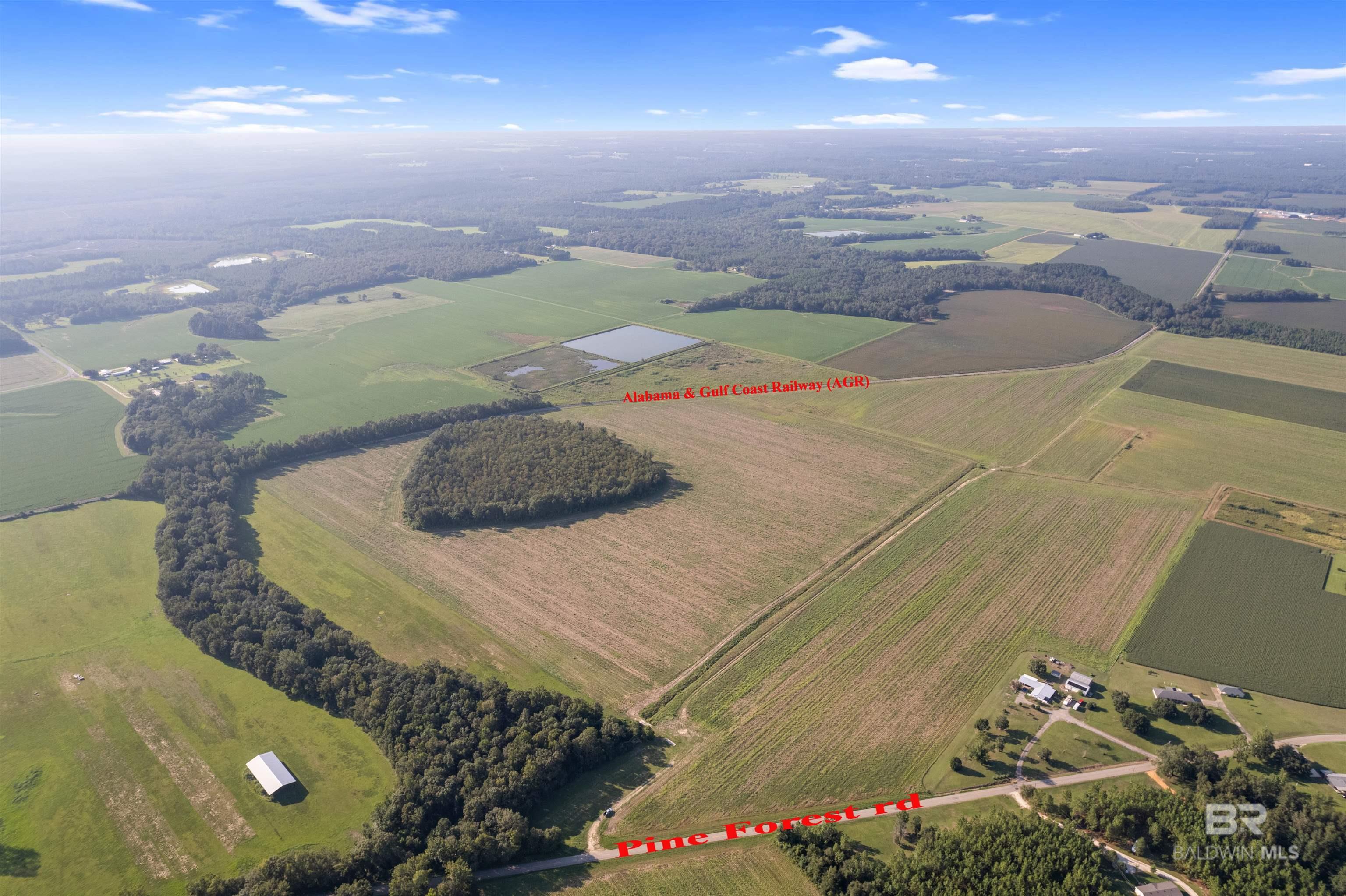 5700 Block Pine Forest Road, Walnut Hill, FL, 32568