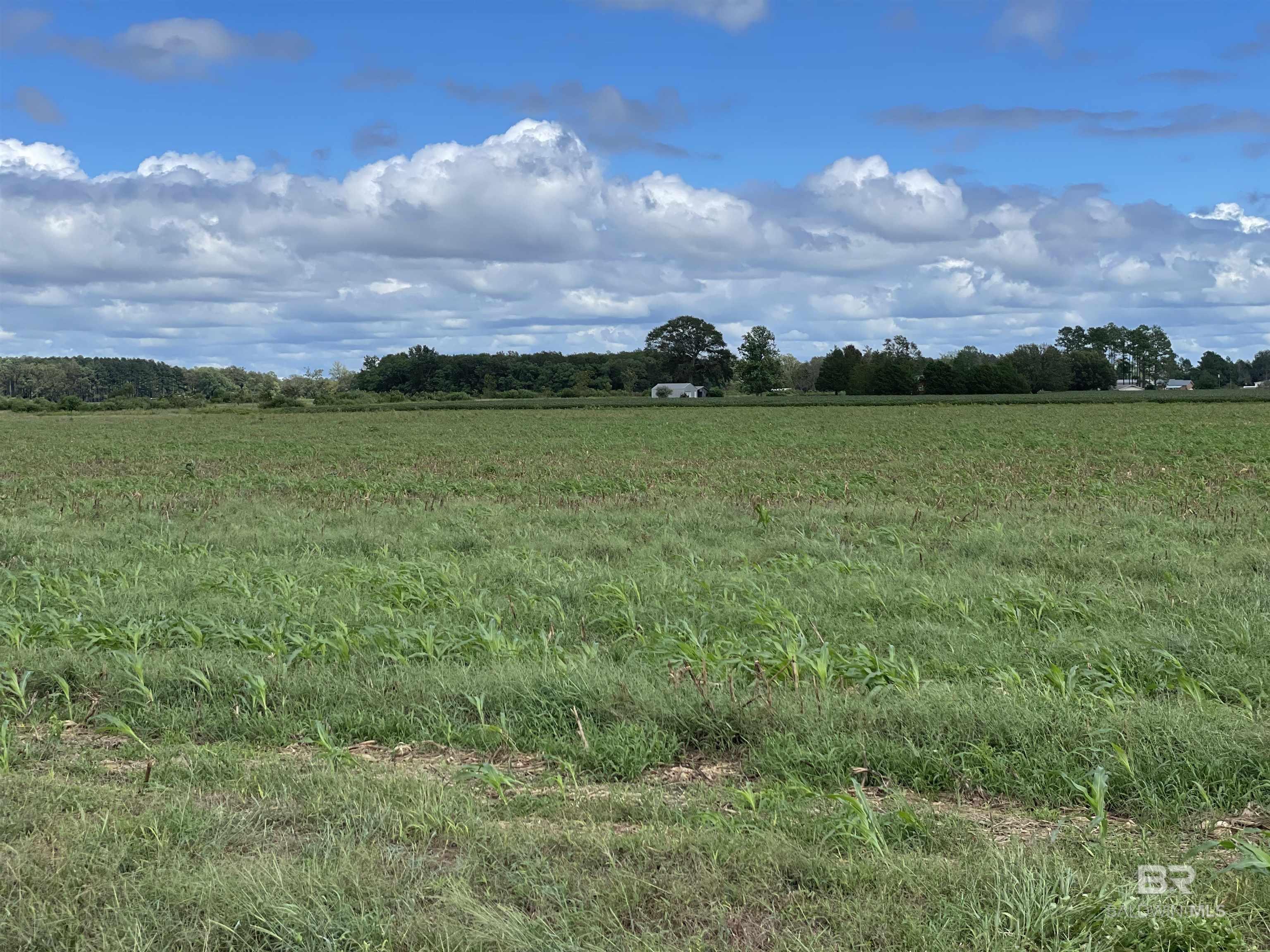 5700 Block Pine Forest Road, Walnut Hill, FL, 32568