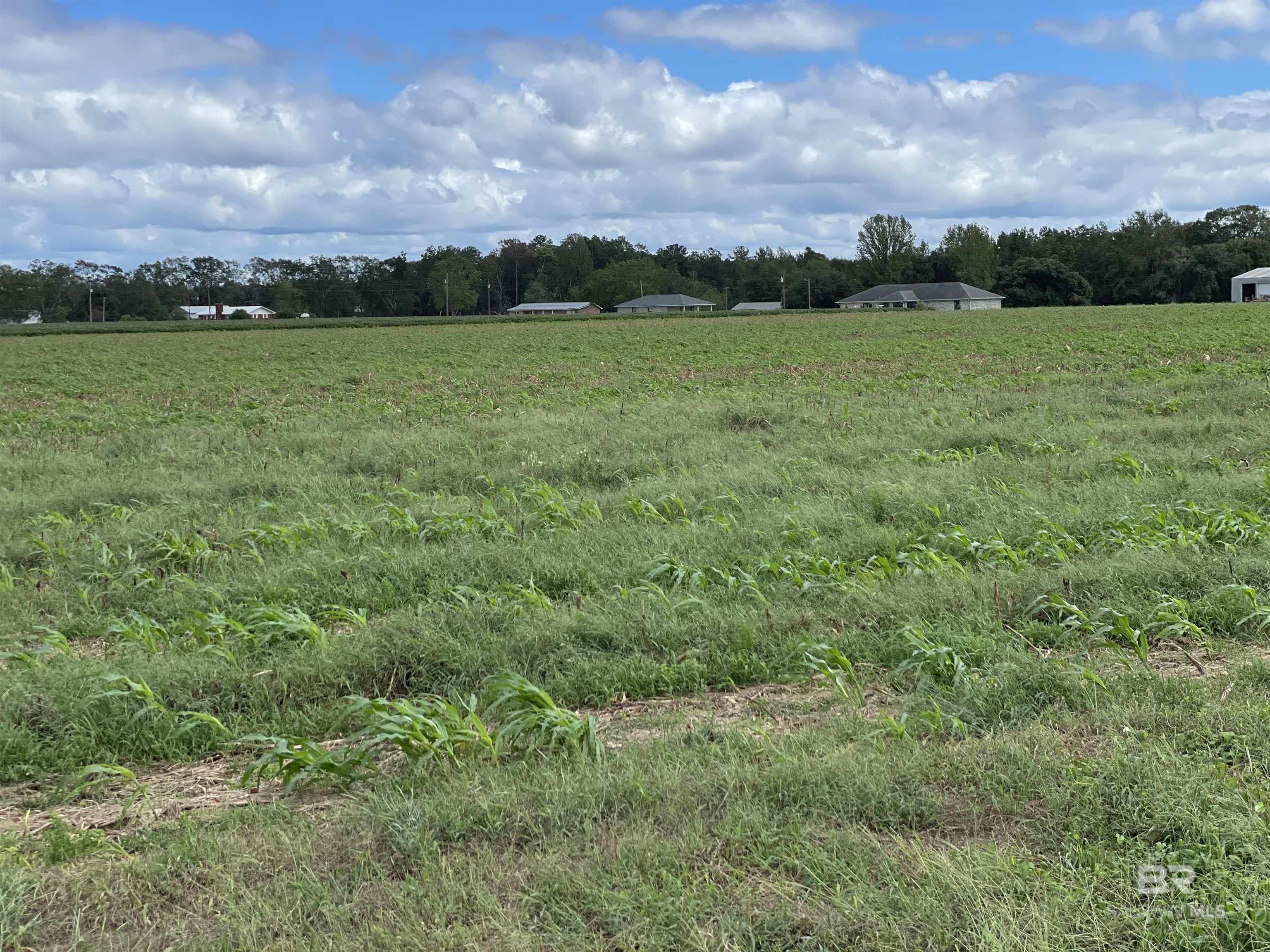 5700 Block Pine Forest Road, Walnut Hill, FL, 32568