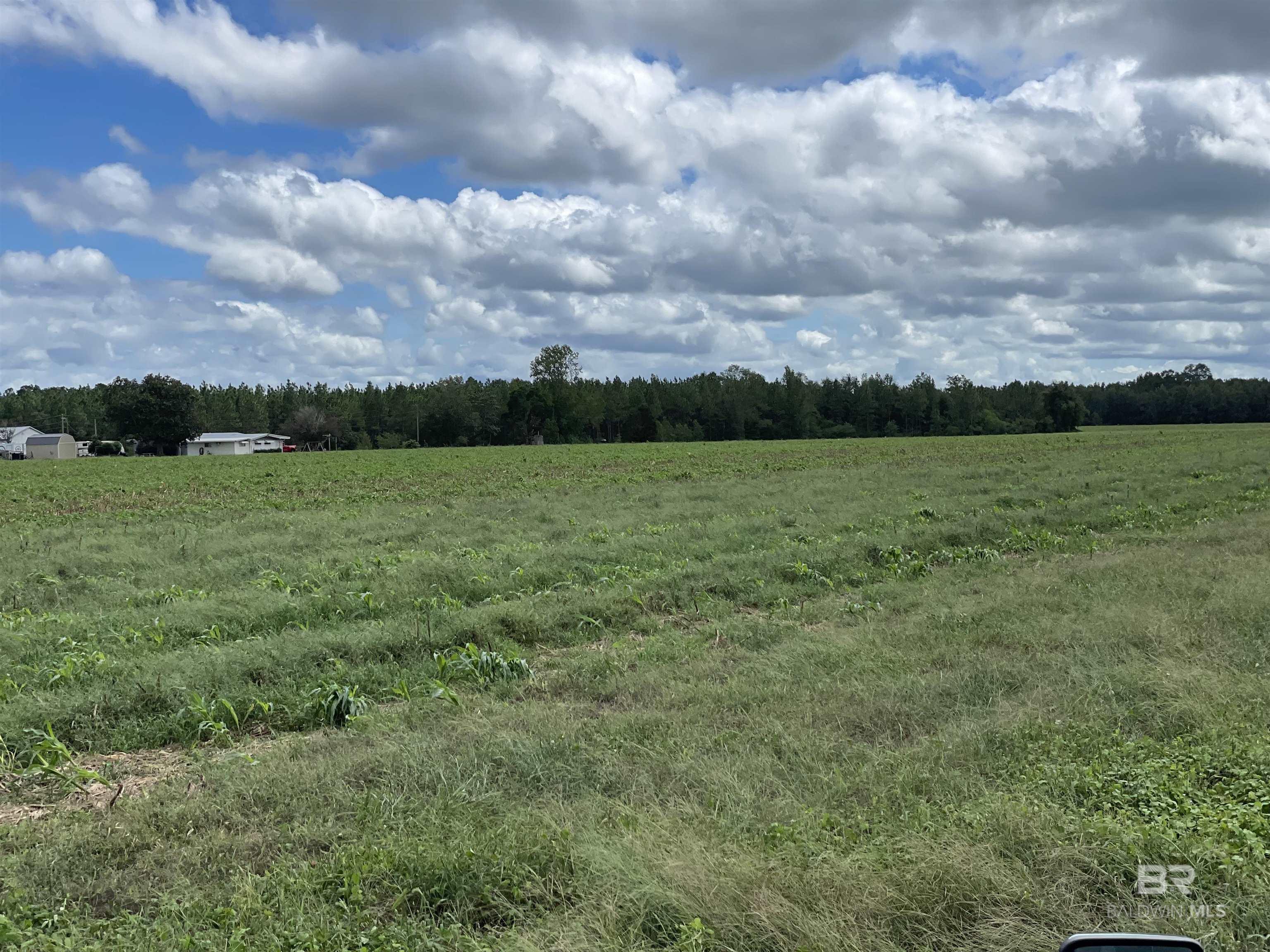 5700 Block Pine Forest Road, Walnut Hill, FL, 32568