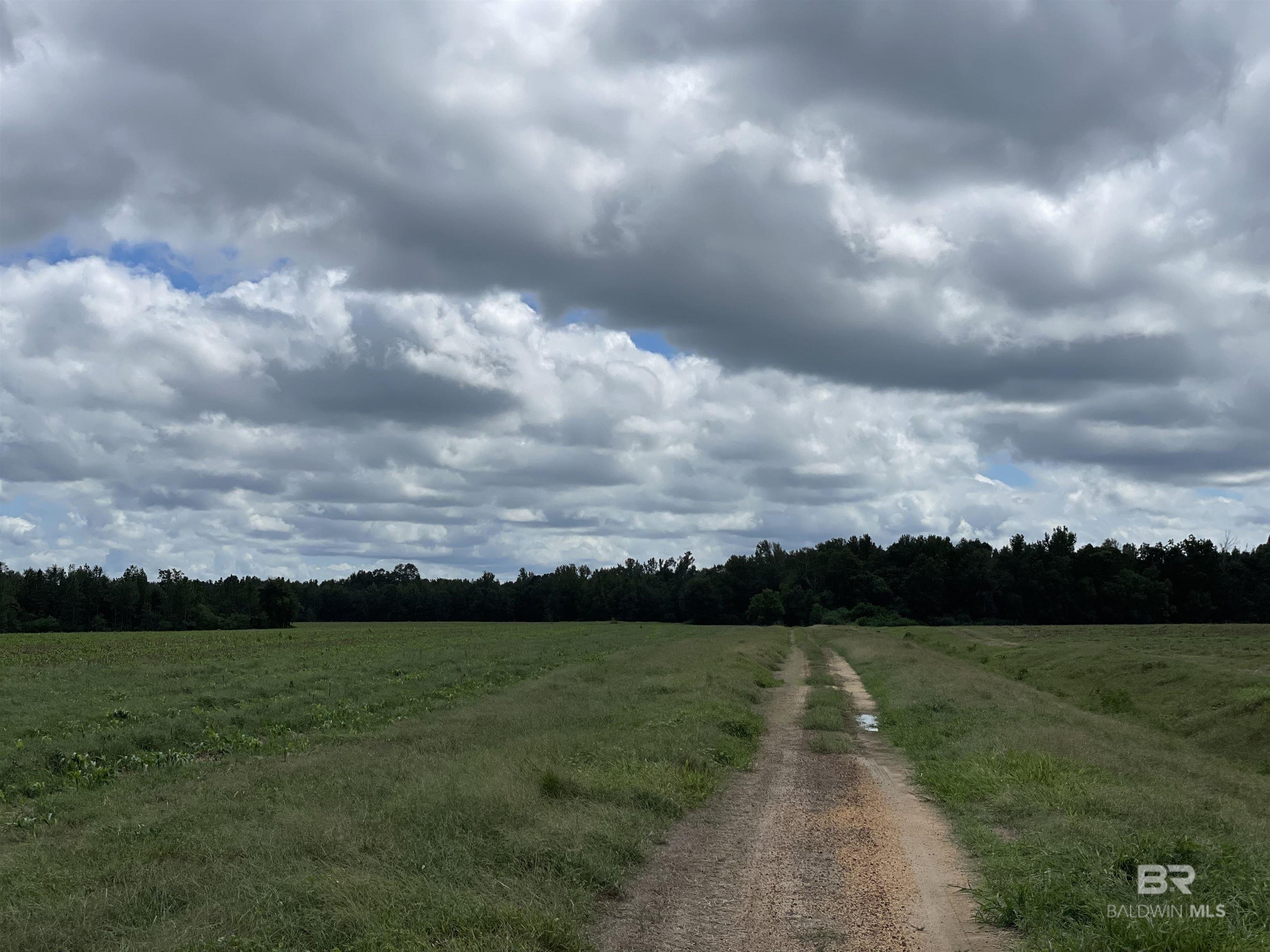 5700 Block Pine Forest Road, Walnut Hill, FL, 32568