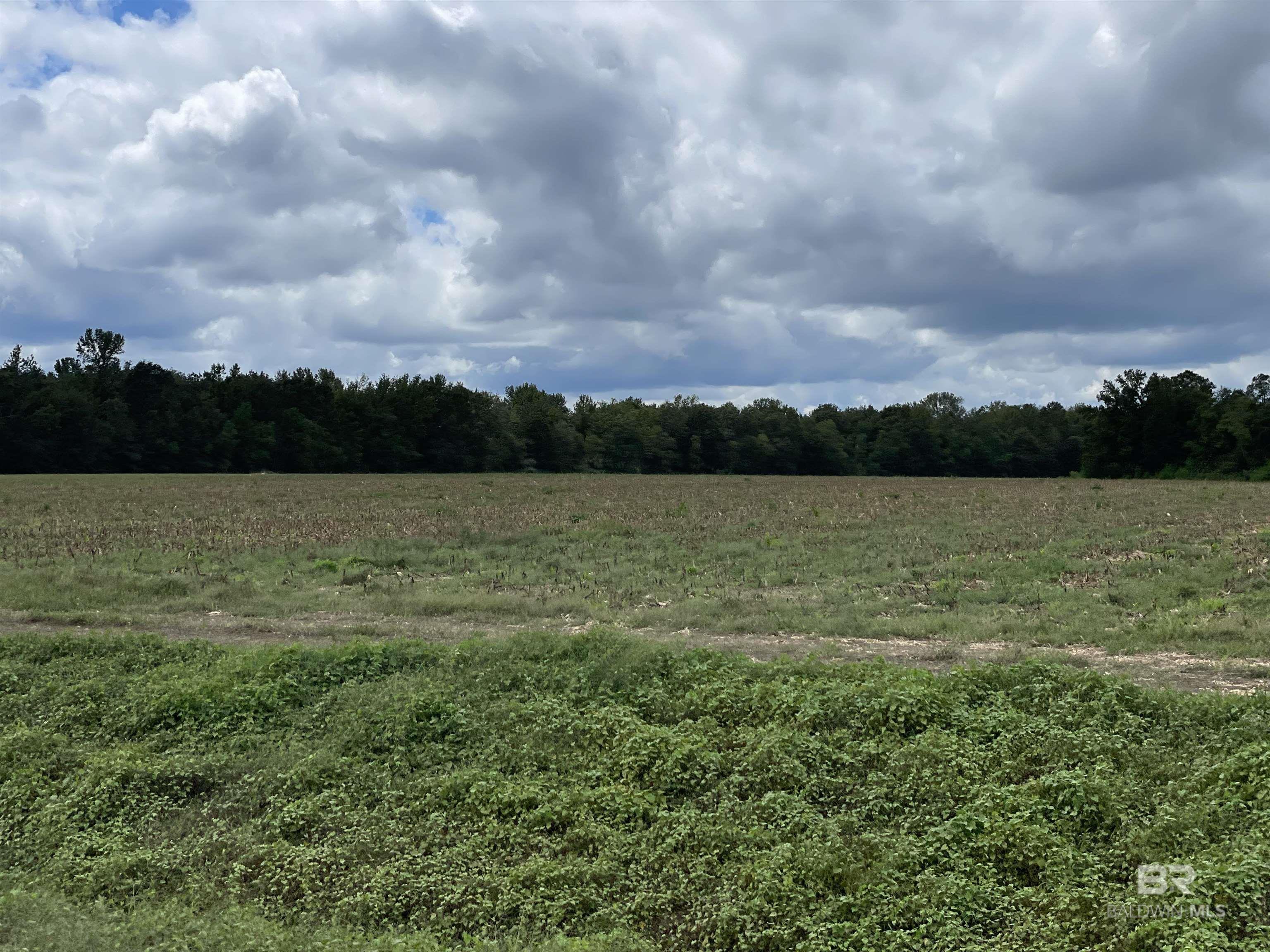 5700 Block Pine Forest Road, Walnut Hill, FL, 32568