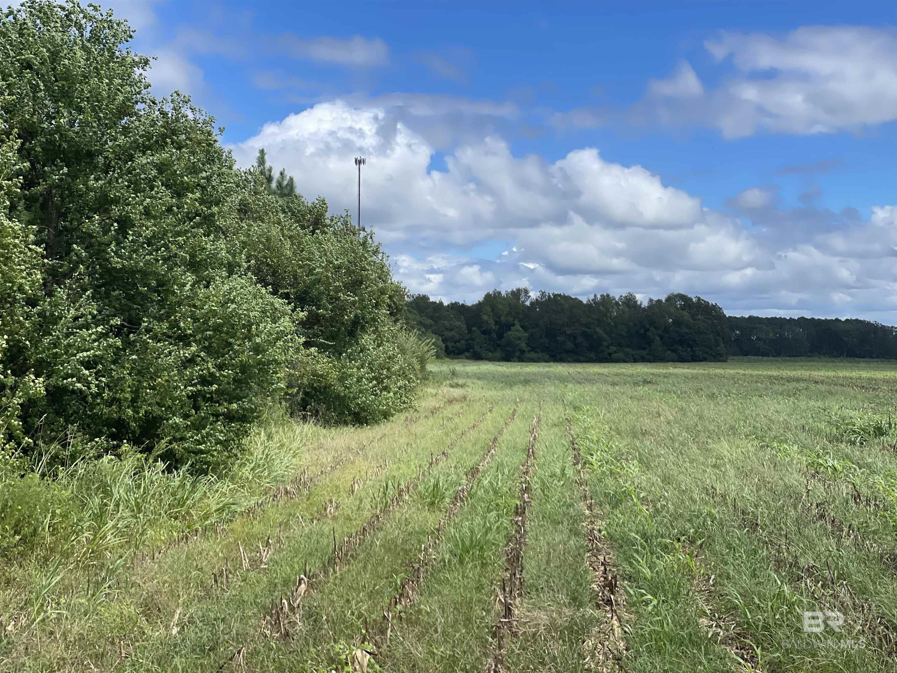 5700 Block Pine Forest Road, Walnut Hill, FL, 32568