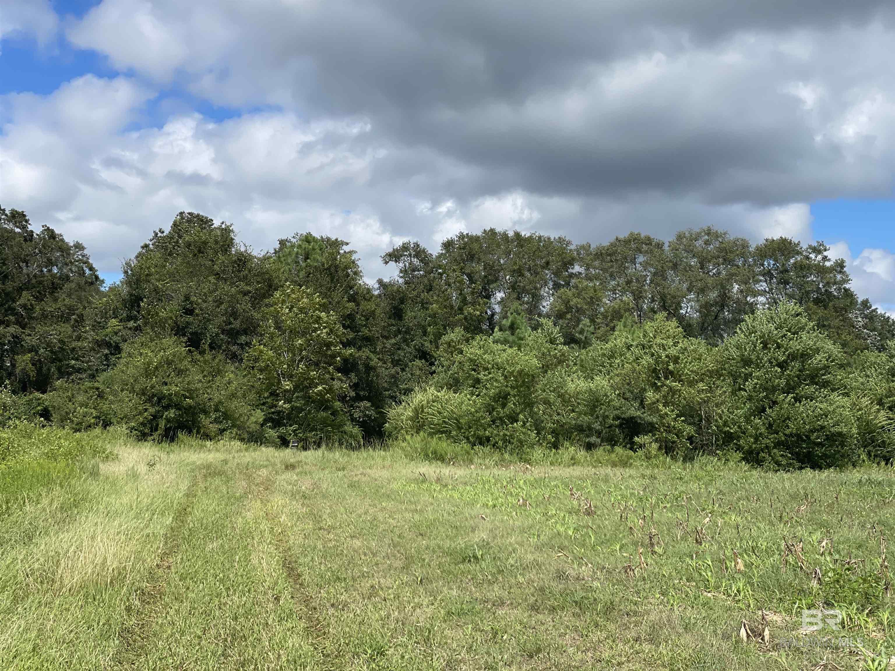 5700 Block Pine Forest Road, Walnut Hill, FL, 32568