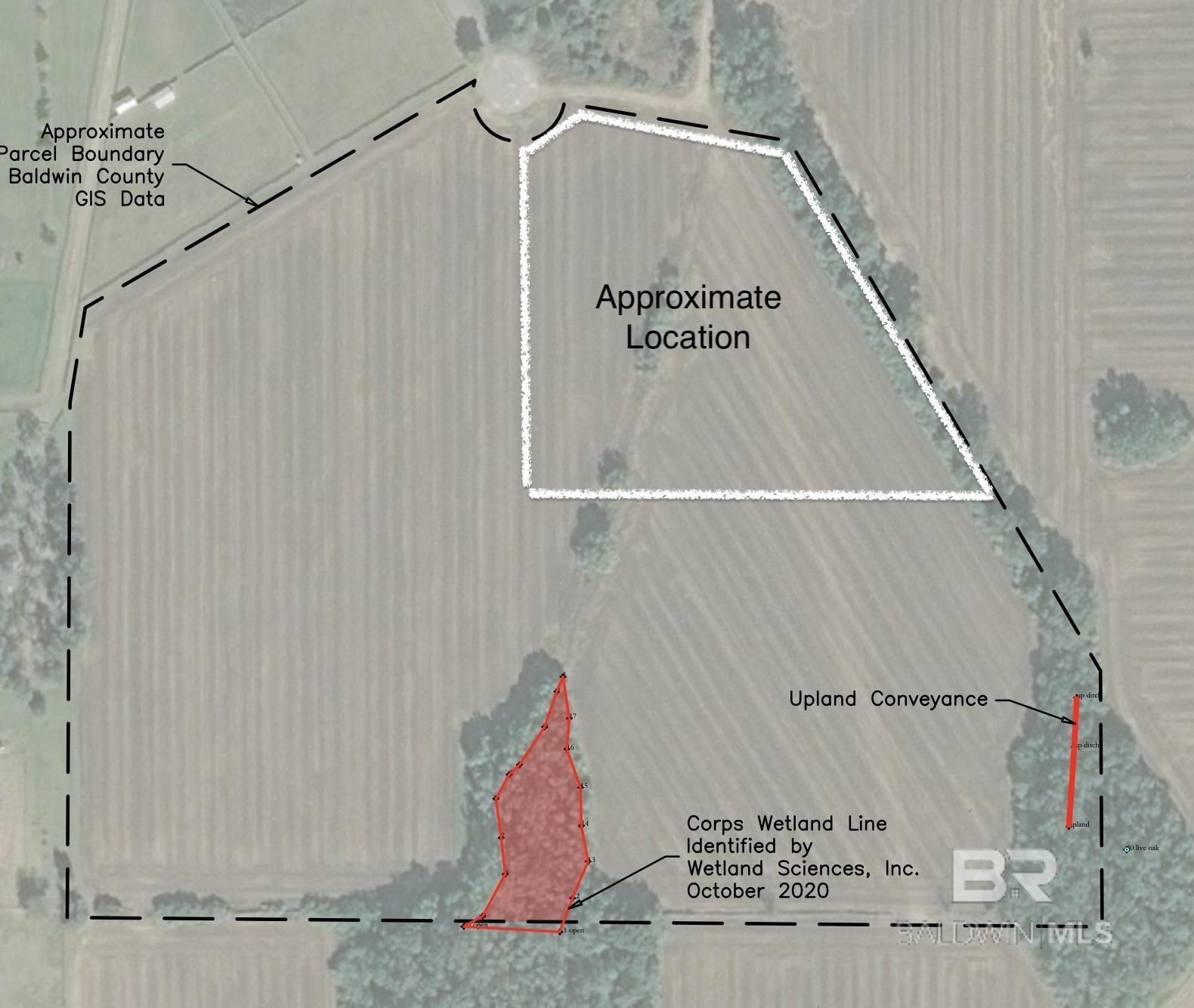 Orange Beach, AL, 36561