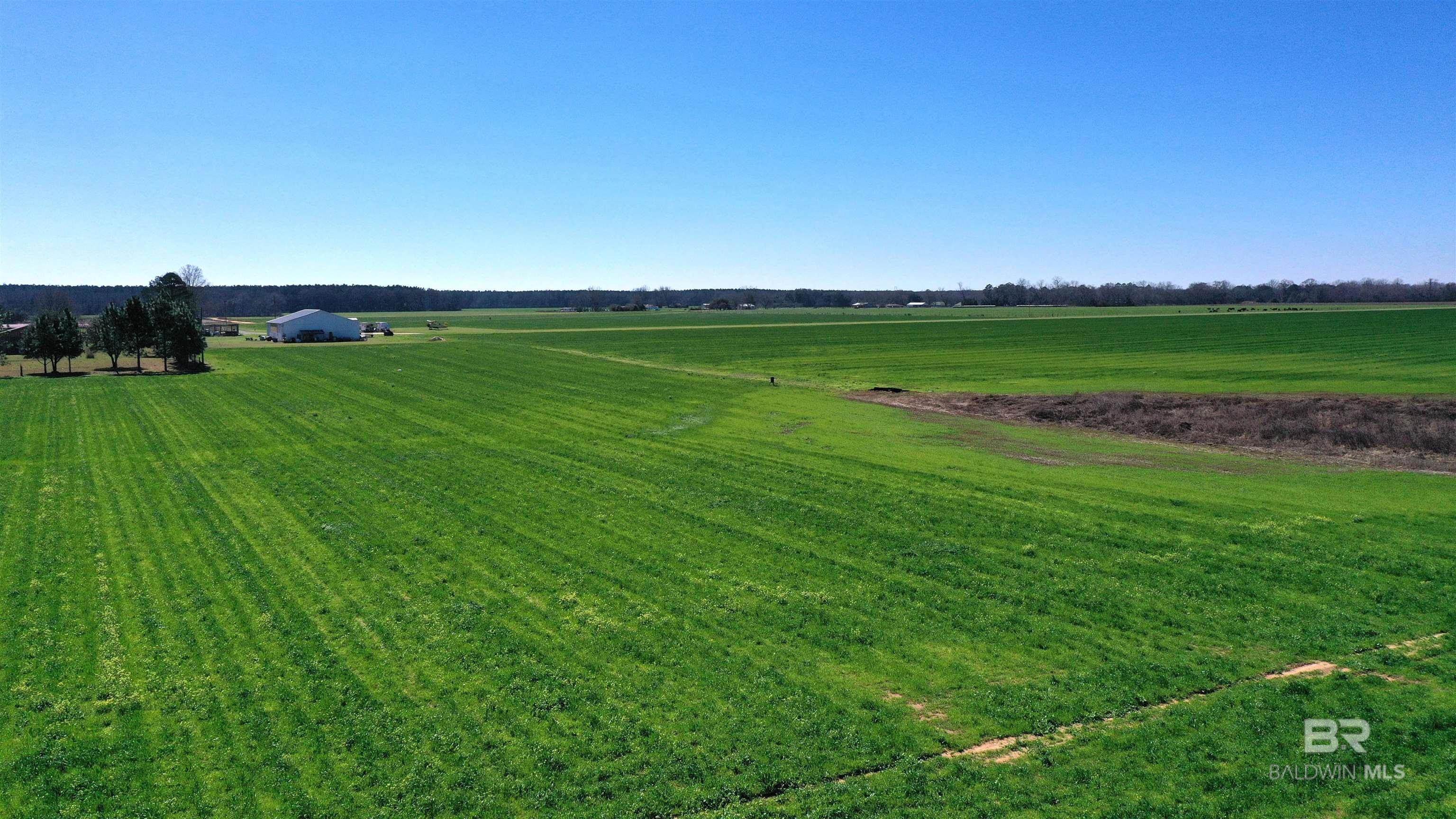 Lot 3 McCullough Road, Atmore, AL, 36502