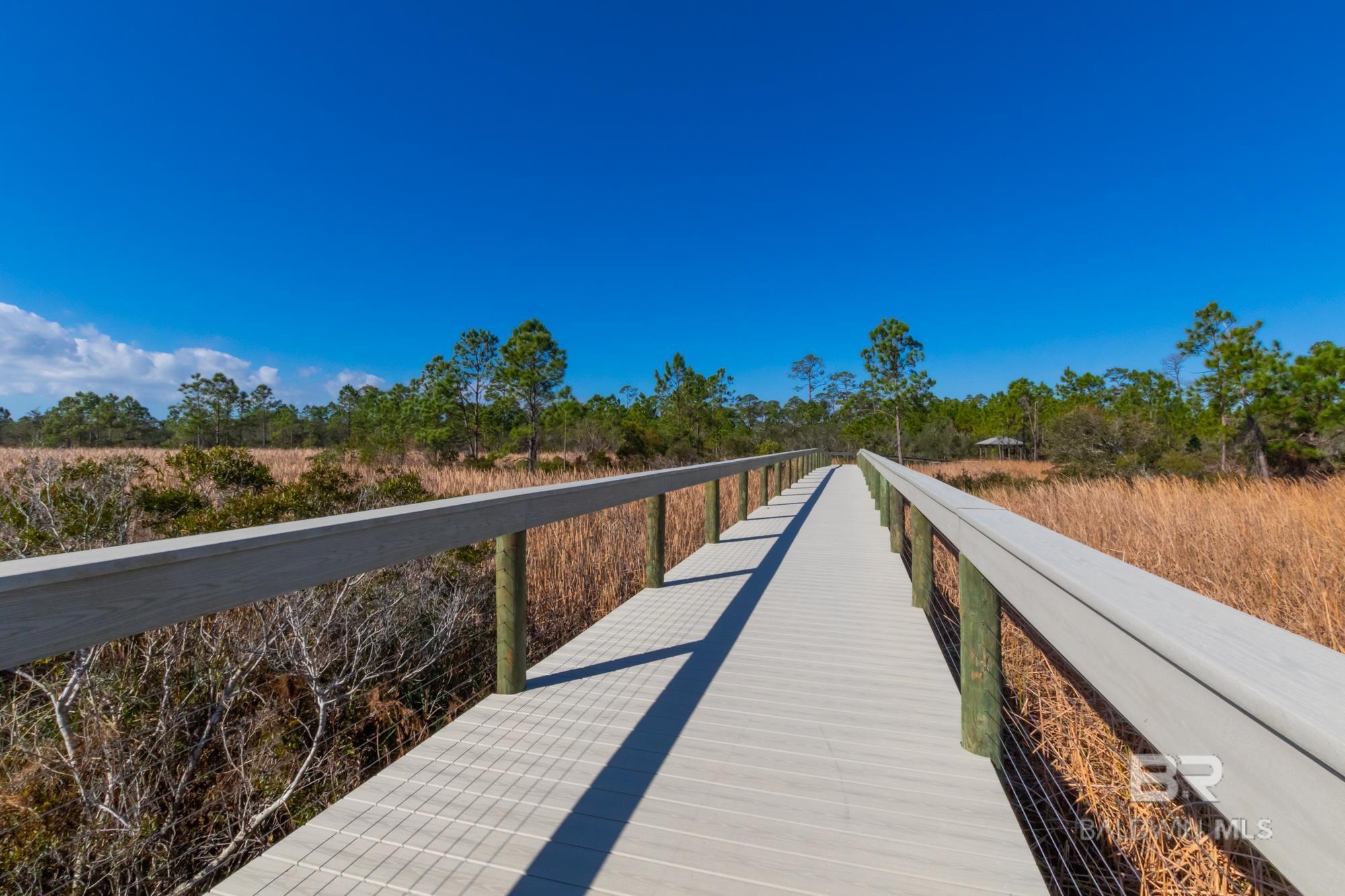 23088 Island Oaks Lane UNIT 67, Orange Beach, AL, 36561