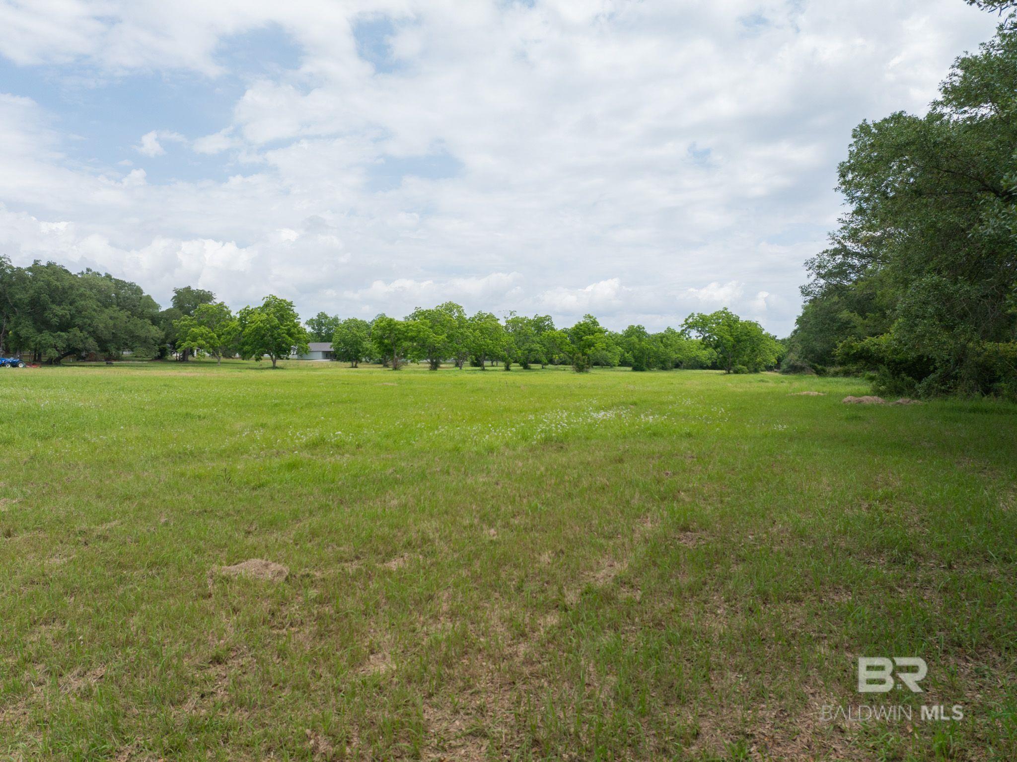 378959 | Photo 10