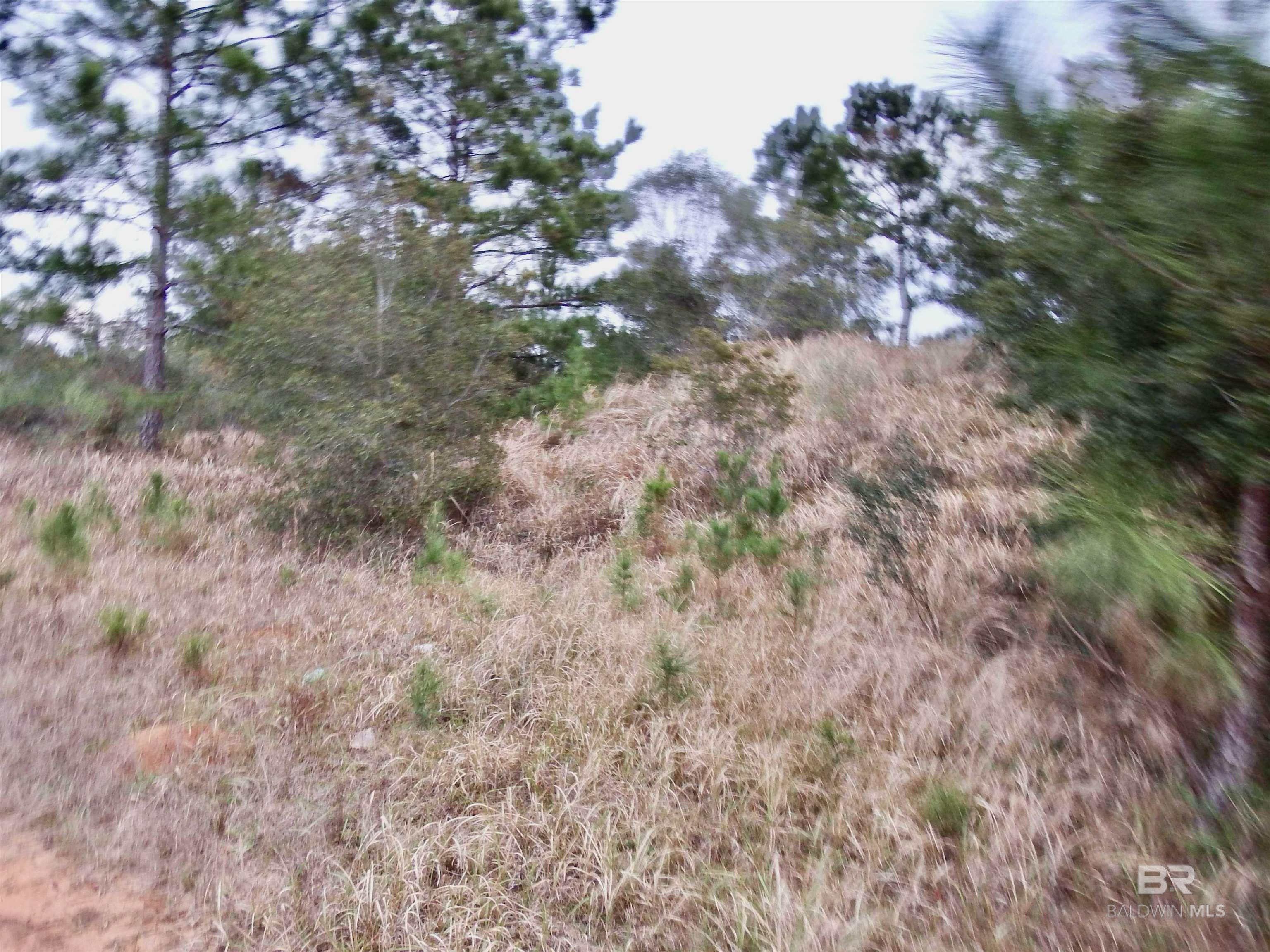 380558 | Photo 11