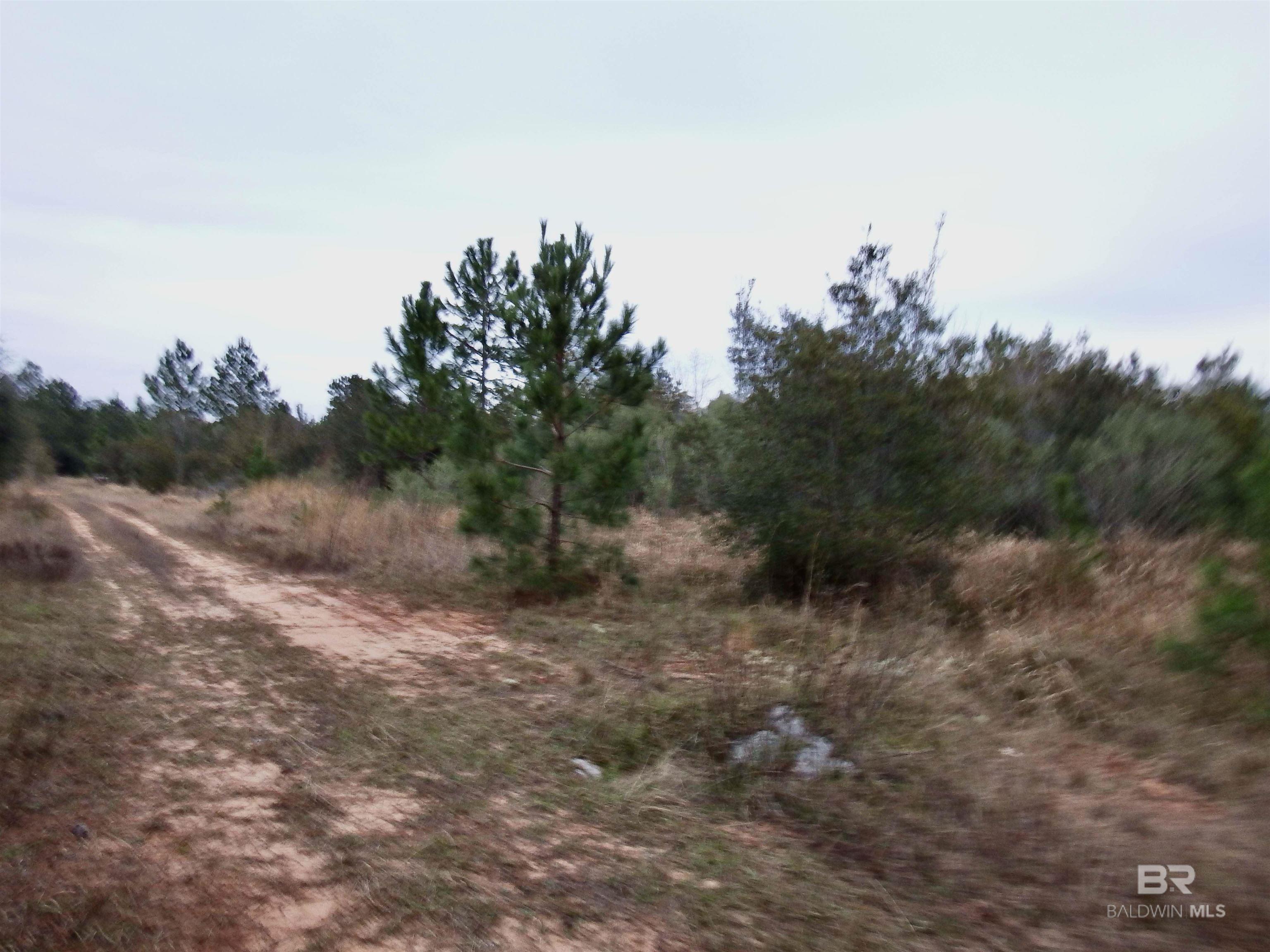 380558 | Photo 10