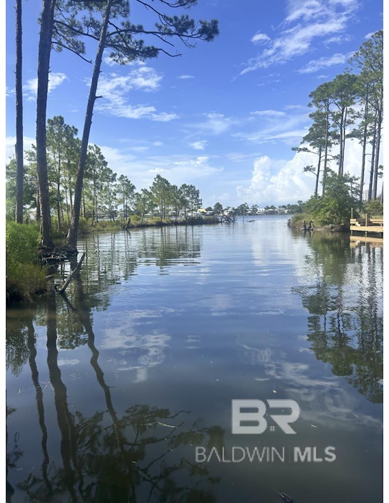 Gulf Shores, AL, 36542