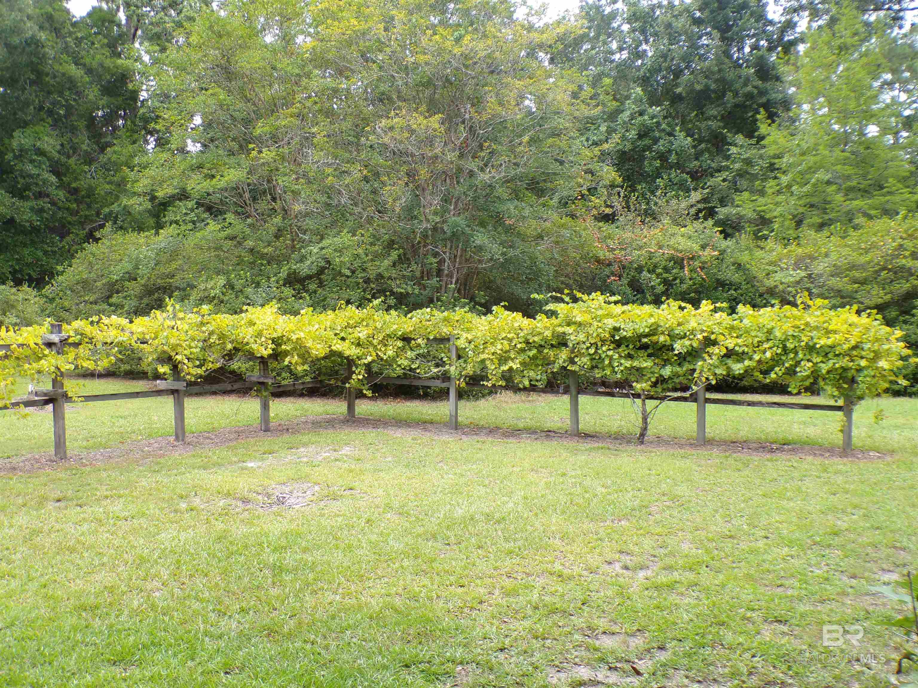 22963 Highway 98, Foley, AL, 36535