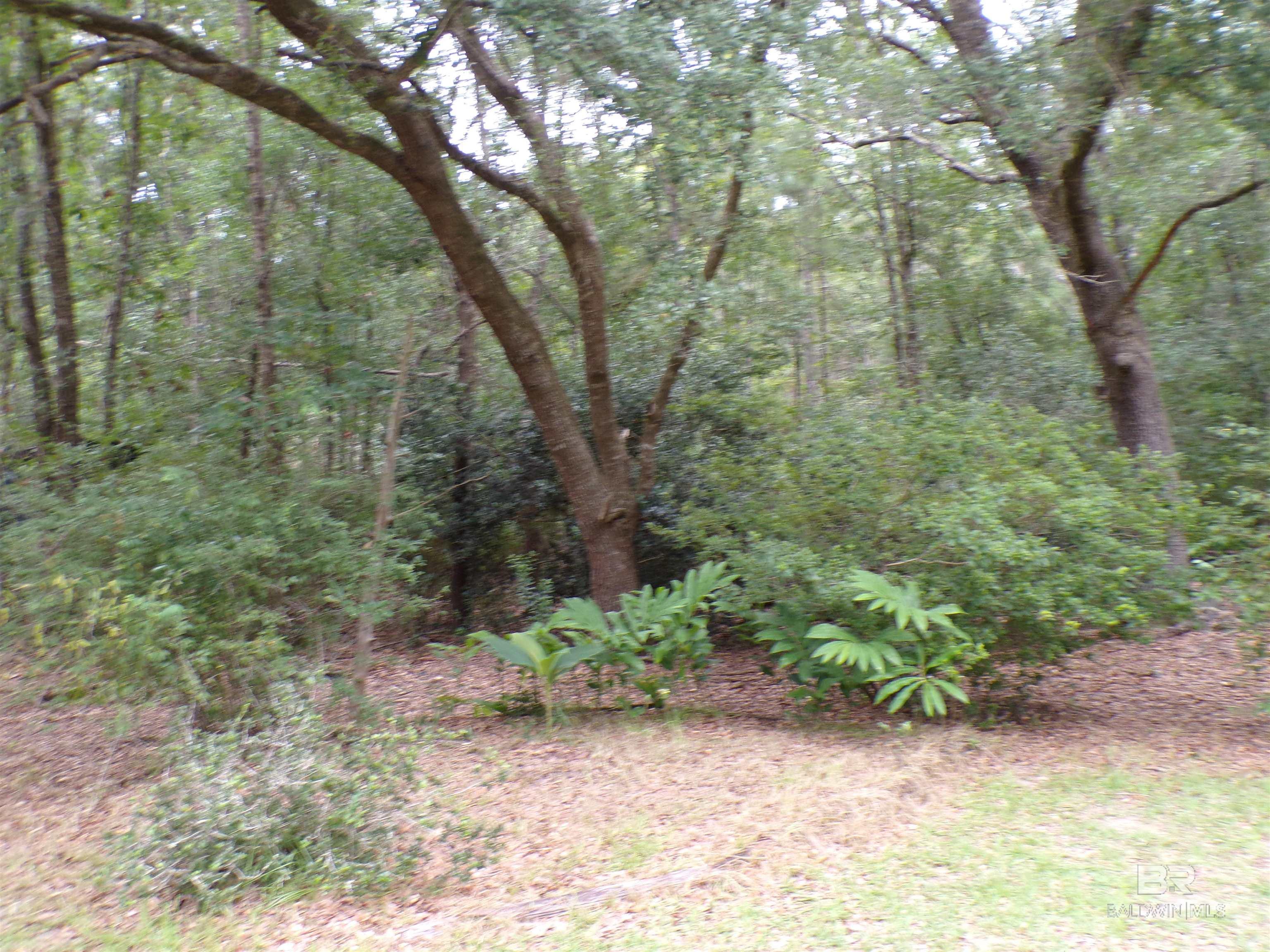 22963 Highway 98, Foley, AL, 36535