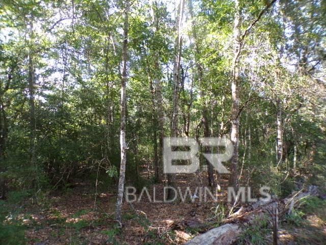 22963 Highway 98, Foley, AL, 36535