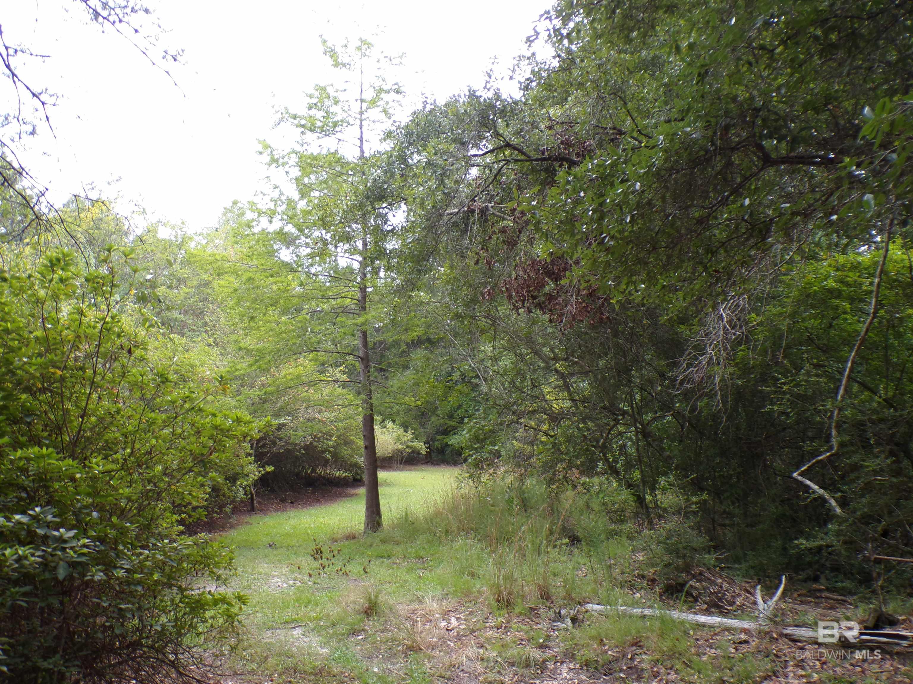 22963 Highway 98, Foley, AL, 36535