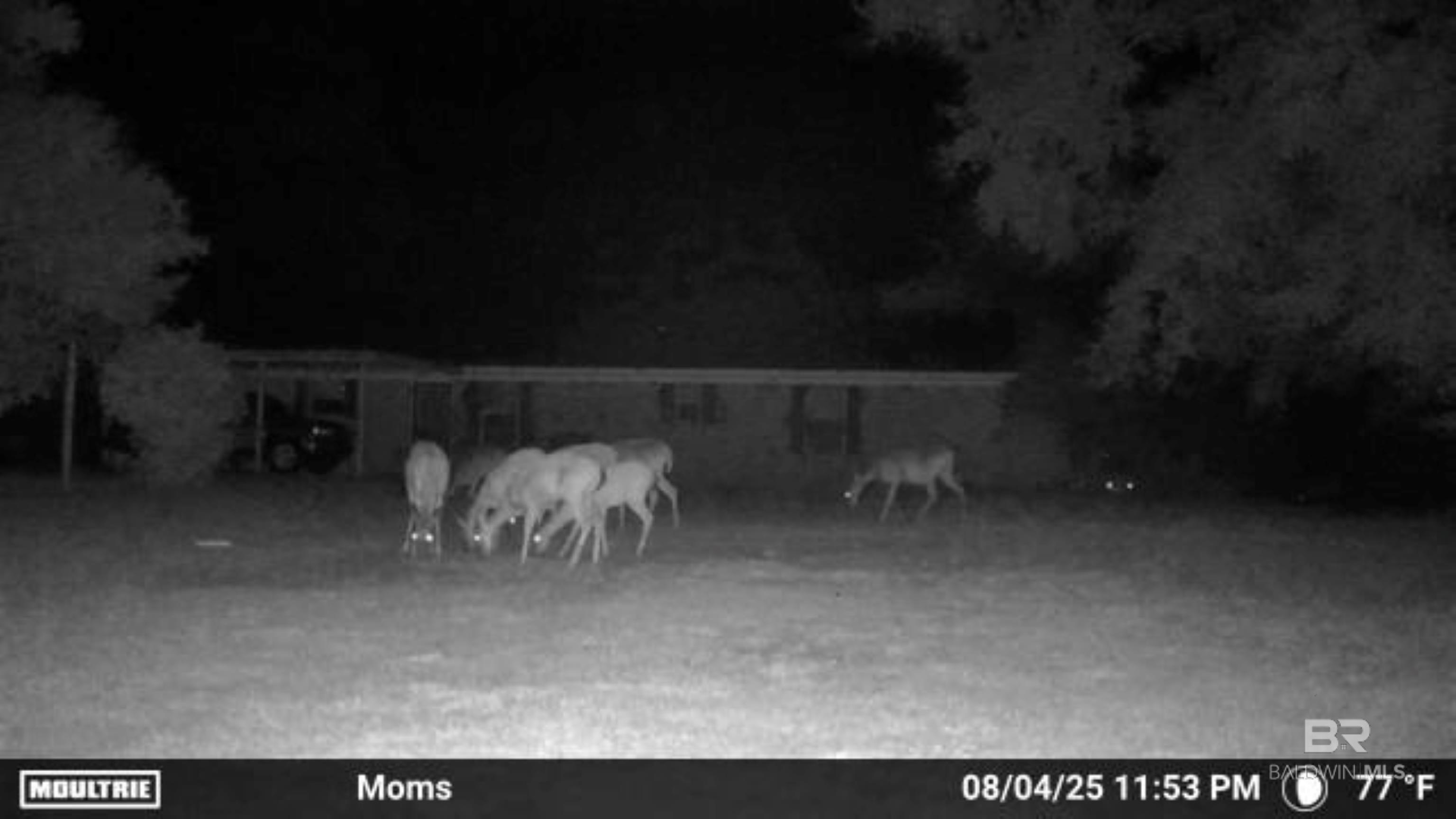 22963 Highway 98, Foley, AL, 36535