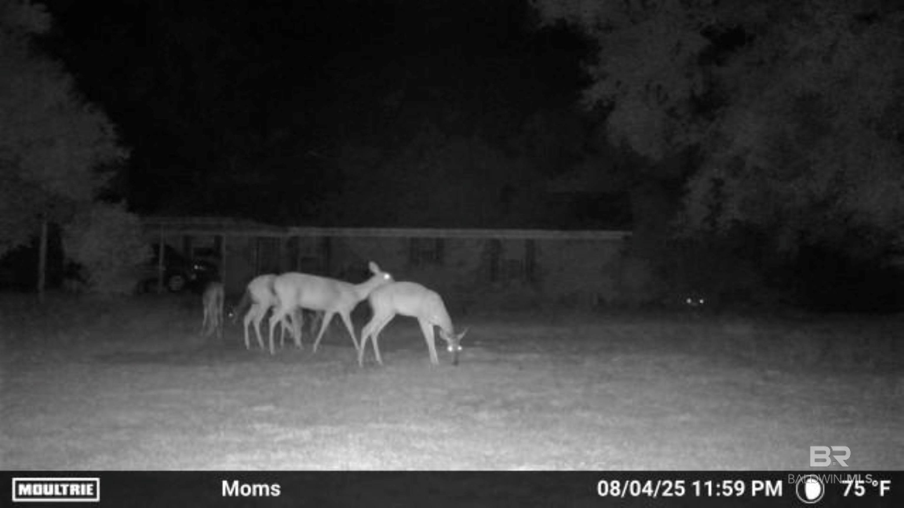 22963 Highway 98, Foley, AL, 36535