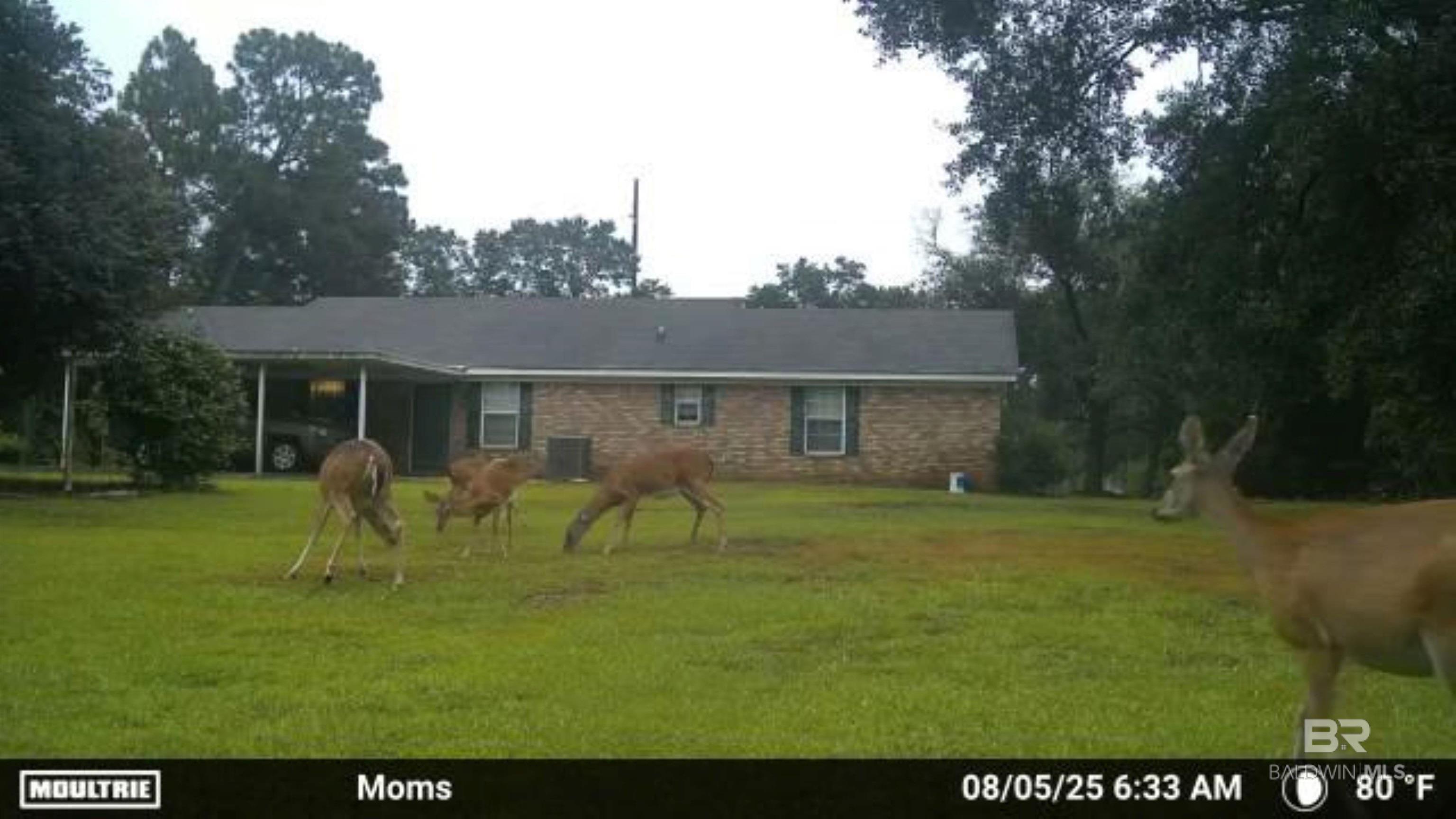 22963 Highway 98, Foley, AL, 36535