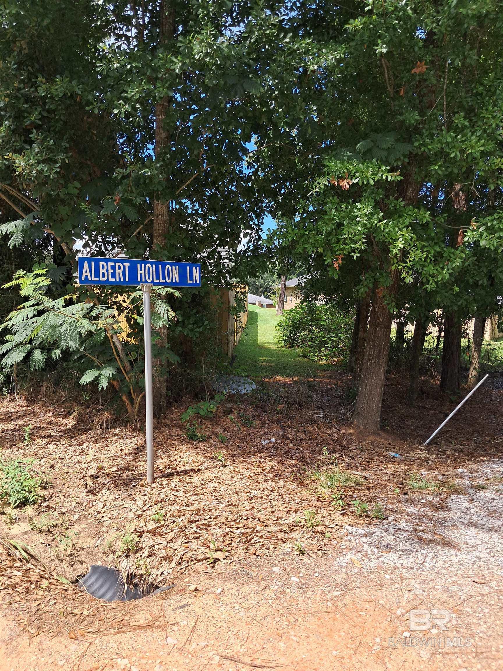 383399 | Photo 12