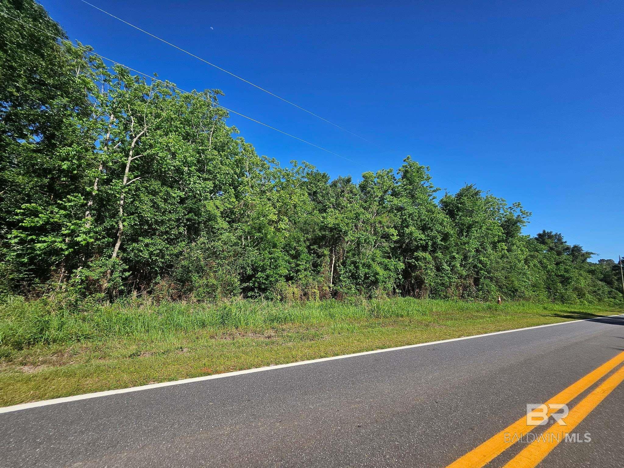 Lipscomb Road, Foley, AL, 36535