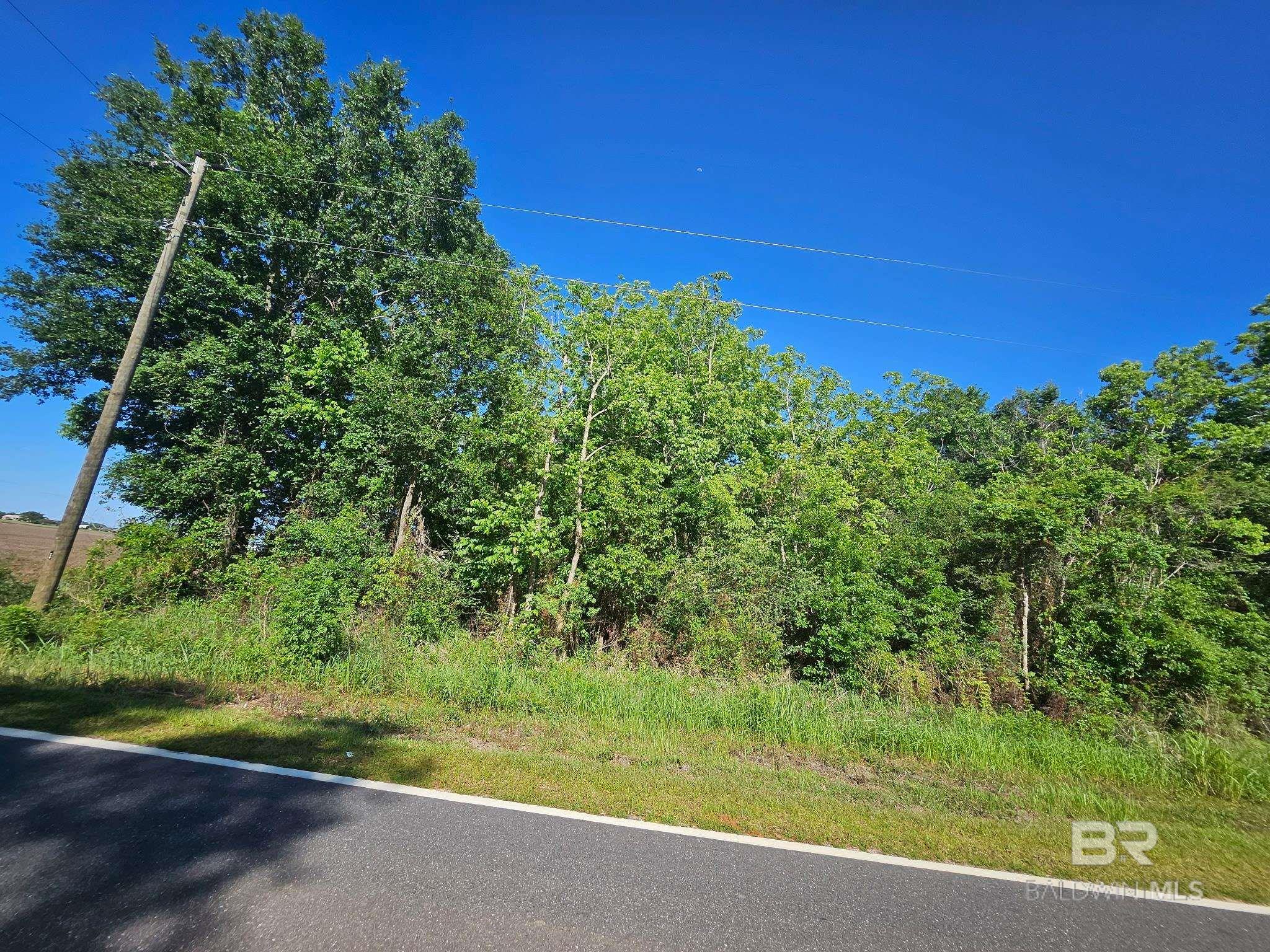 Lipscomb Road, Foley, AL, 36535