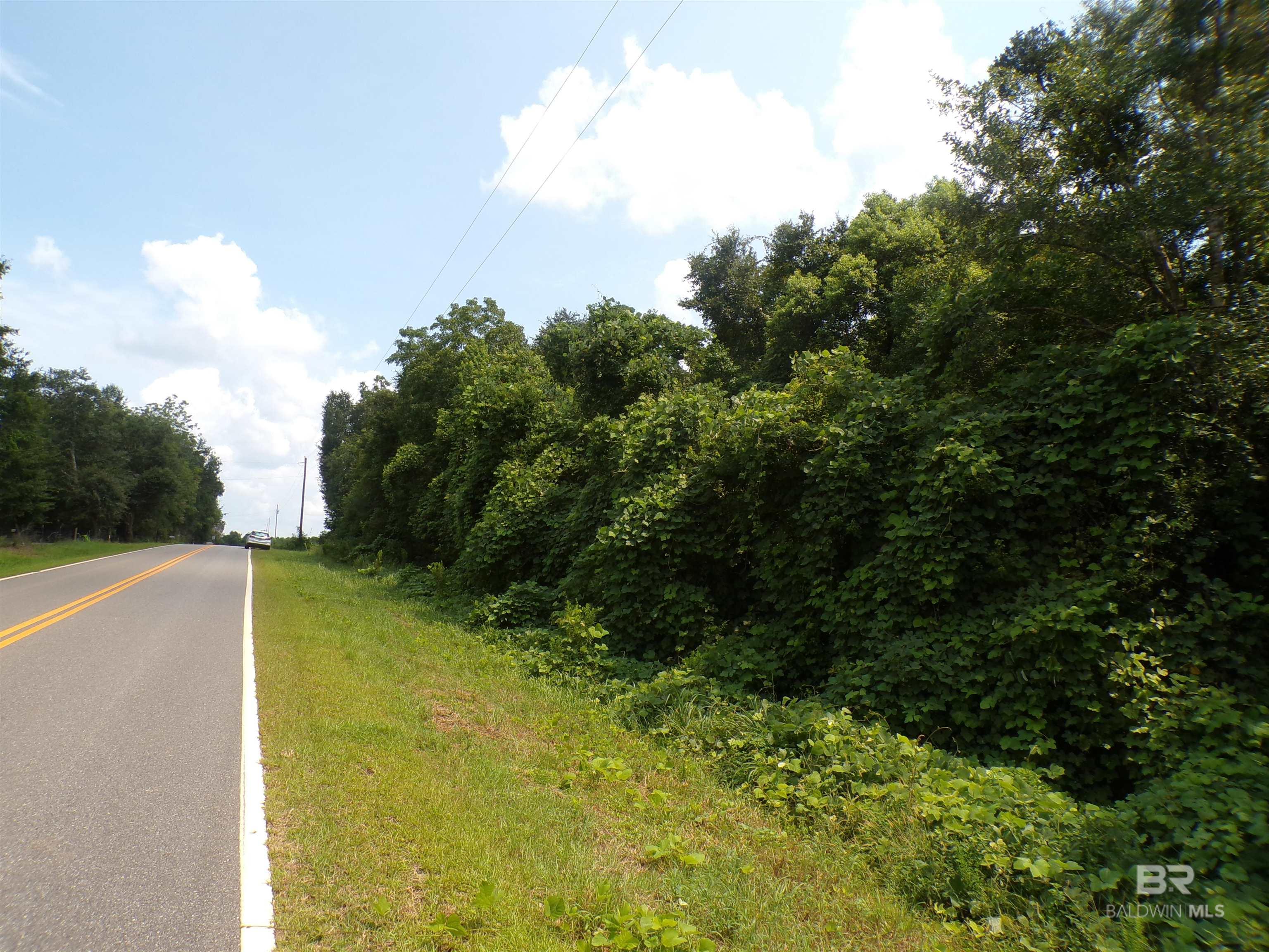 Lipscomb Road, Foley, AL, 36535