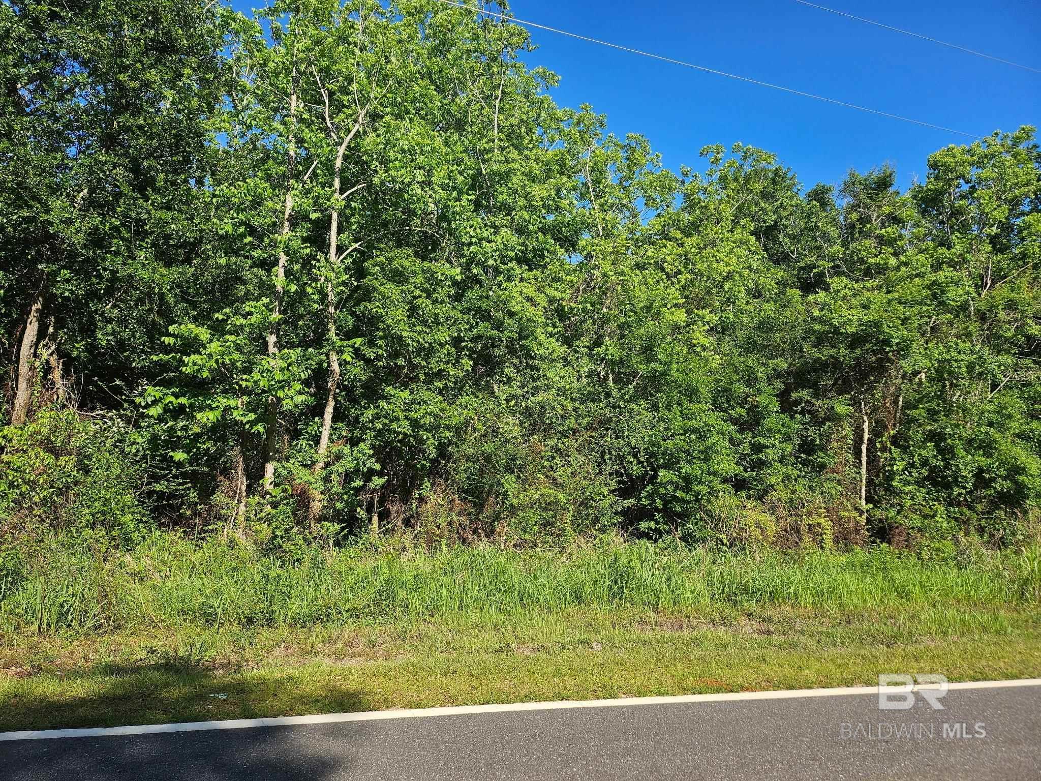 Lipscomb Road, Foley, AL, 36535