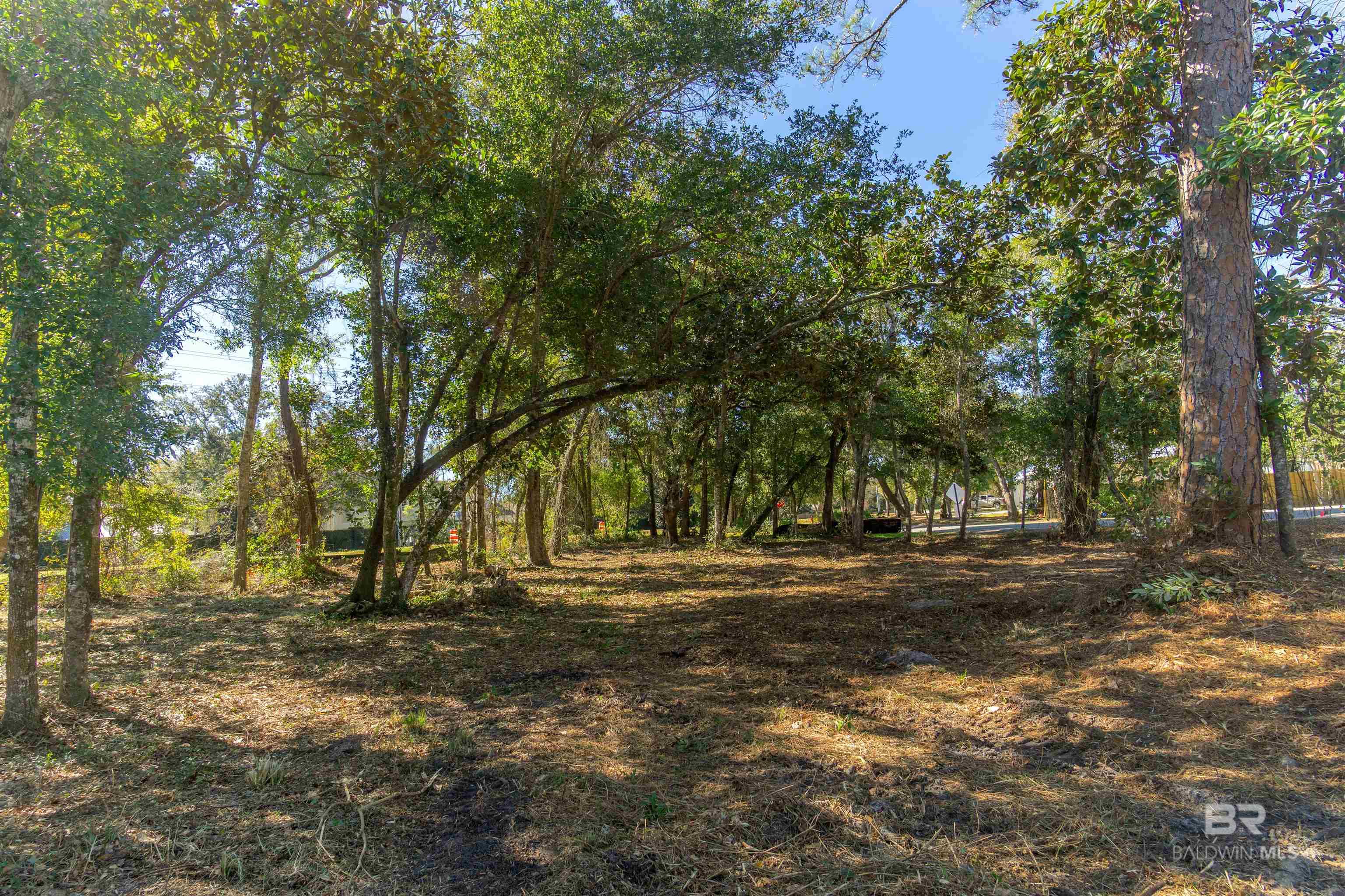 5208 Hickory Lane, Orange Beach, AL, 36561