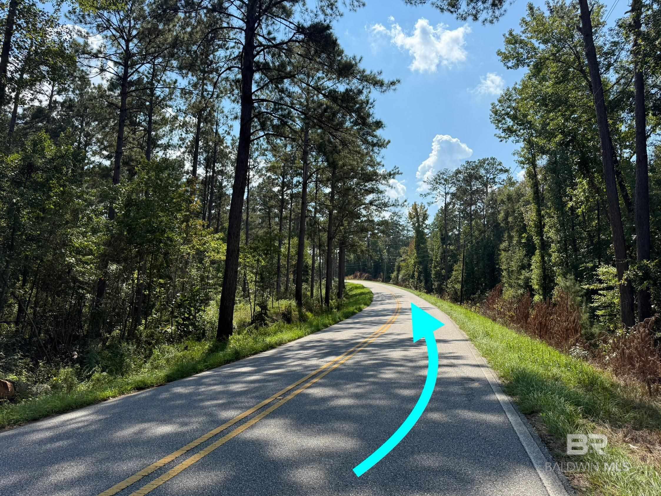 Homes for sale in Thomasville, AL | 13850 Tallahatta Springs Road, Thomasville, AL 36784 | MLS# 384990